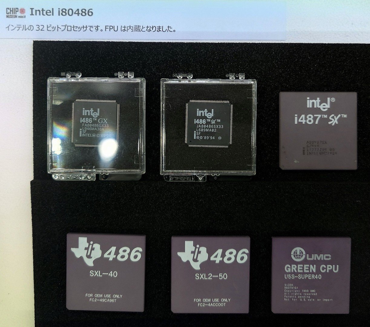 ☆.*°さん専用2点おまとめ チップミュージアム(6) - 486と仲間たち｜kzn