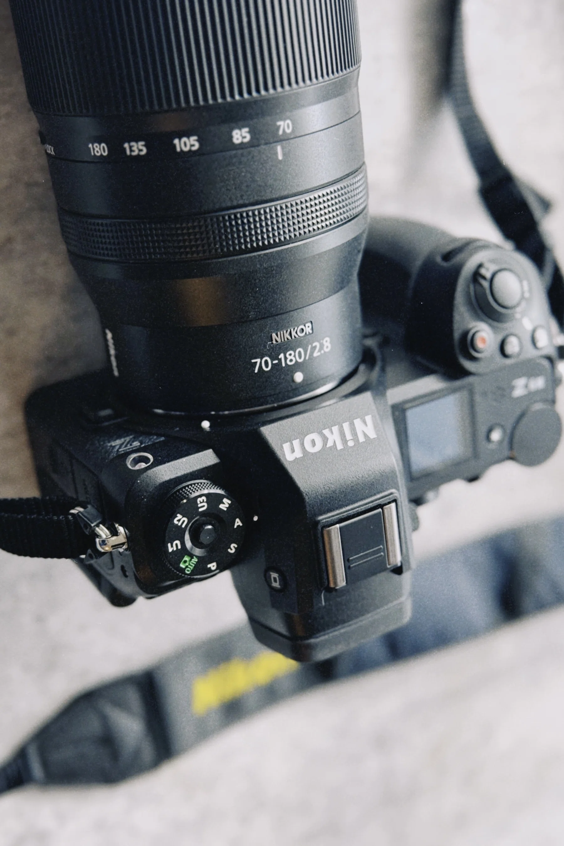 Nikon Z6III ファーストインプレッション｜猫写真家 あおいとり