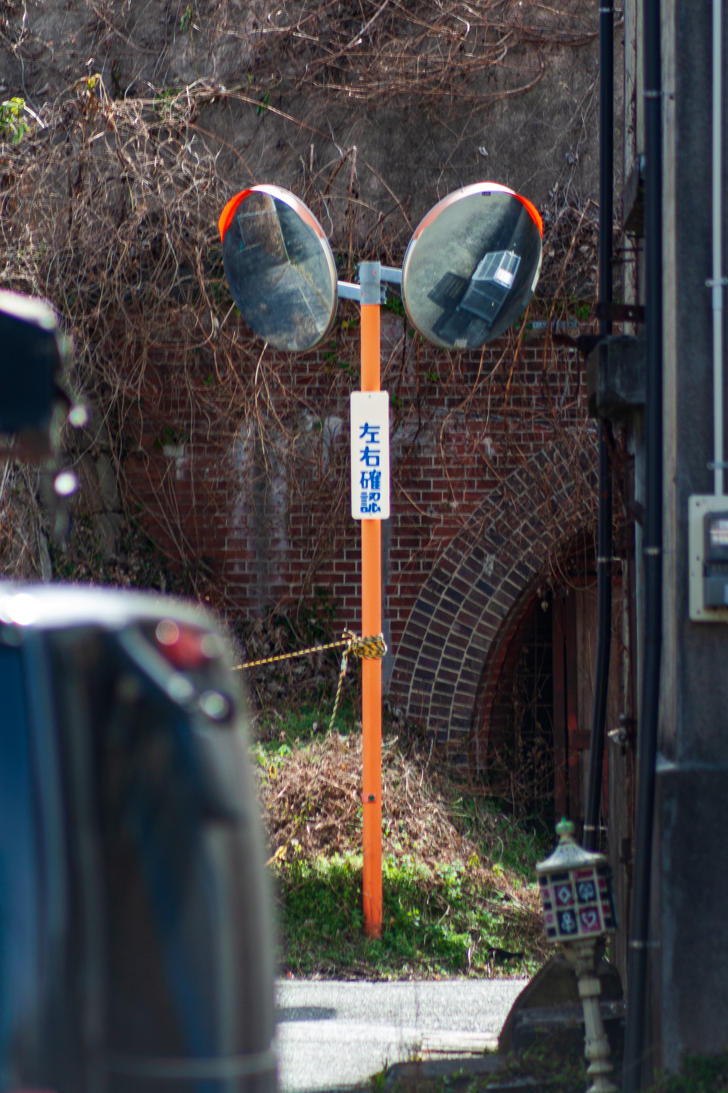 EF 75-300mmを使ってみました。｜永瀬喜久