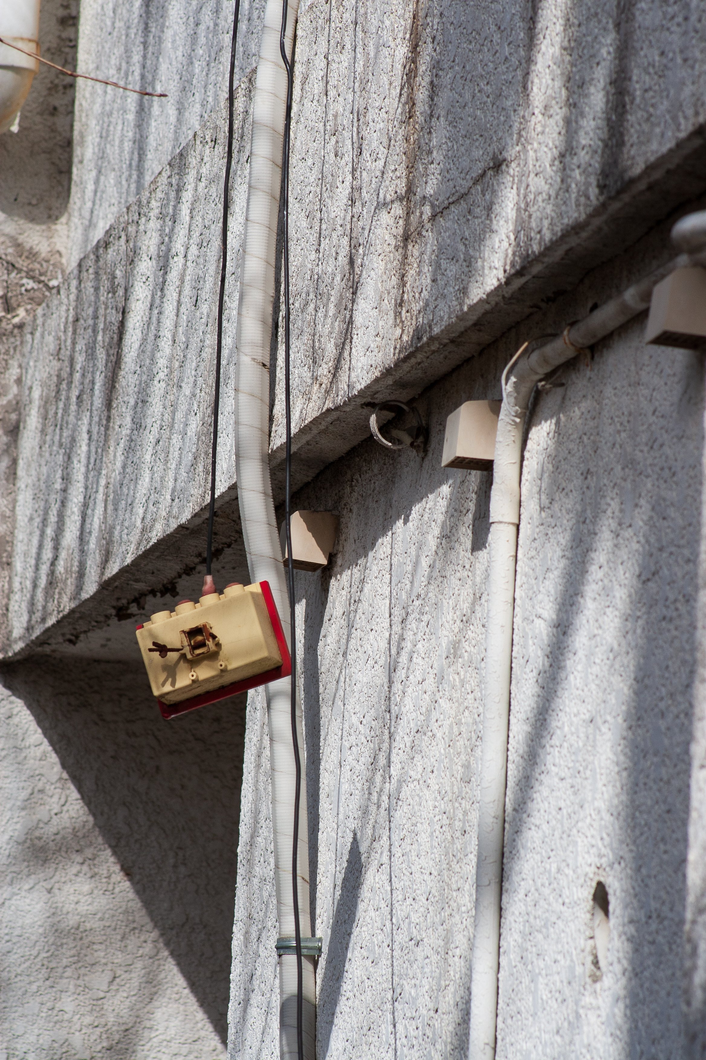 EF 75-300mmを使ってみました。｜永瀬喜久