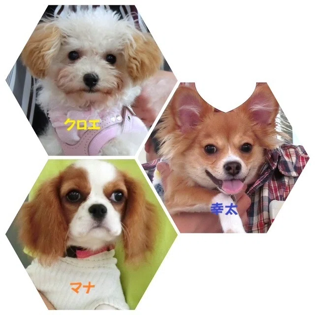画像