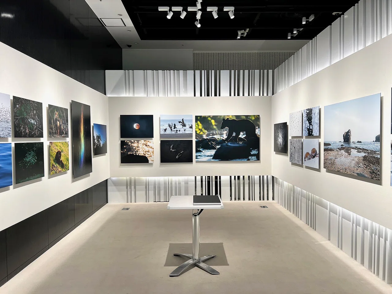 展評】高橋海斗写真展「Ever-Flowing Life 知床 ―めぐりゆく時の中で