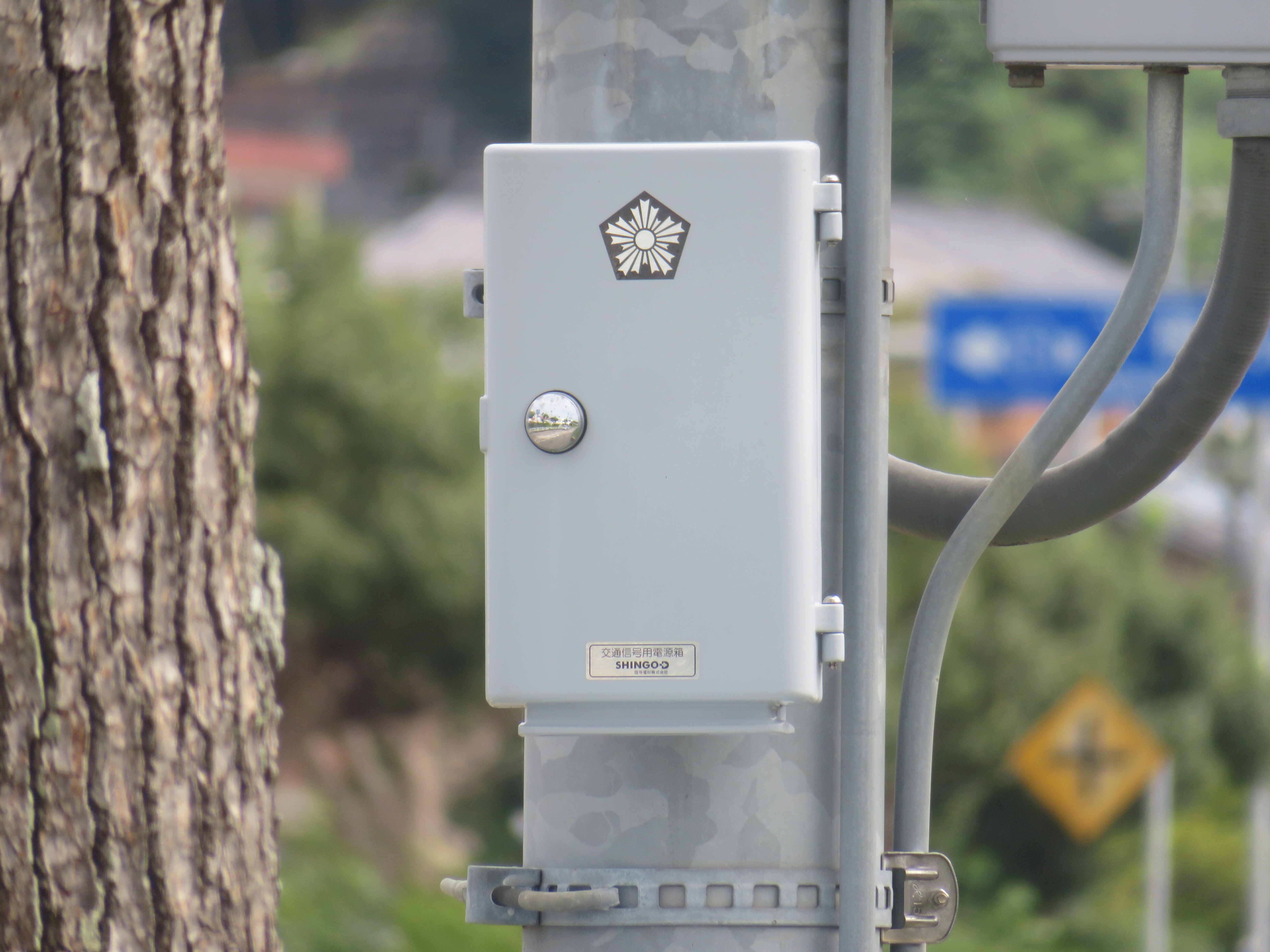 ますだA12】益田警察署前【島根県の信号機】｜るーと