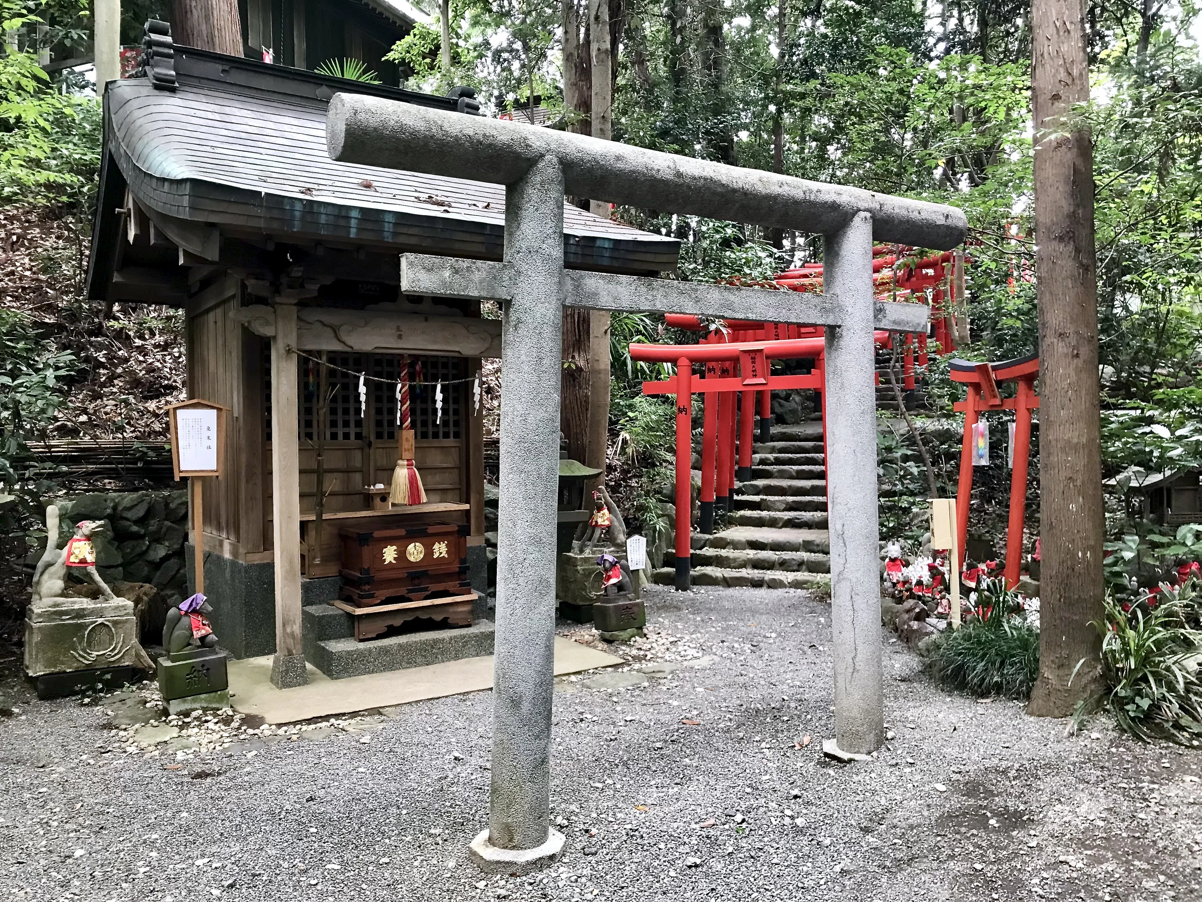 白笹稲荷神社】関東三大稲荷のひとつで千本鳥居を歩く｜湧水と光る藻の
