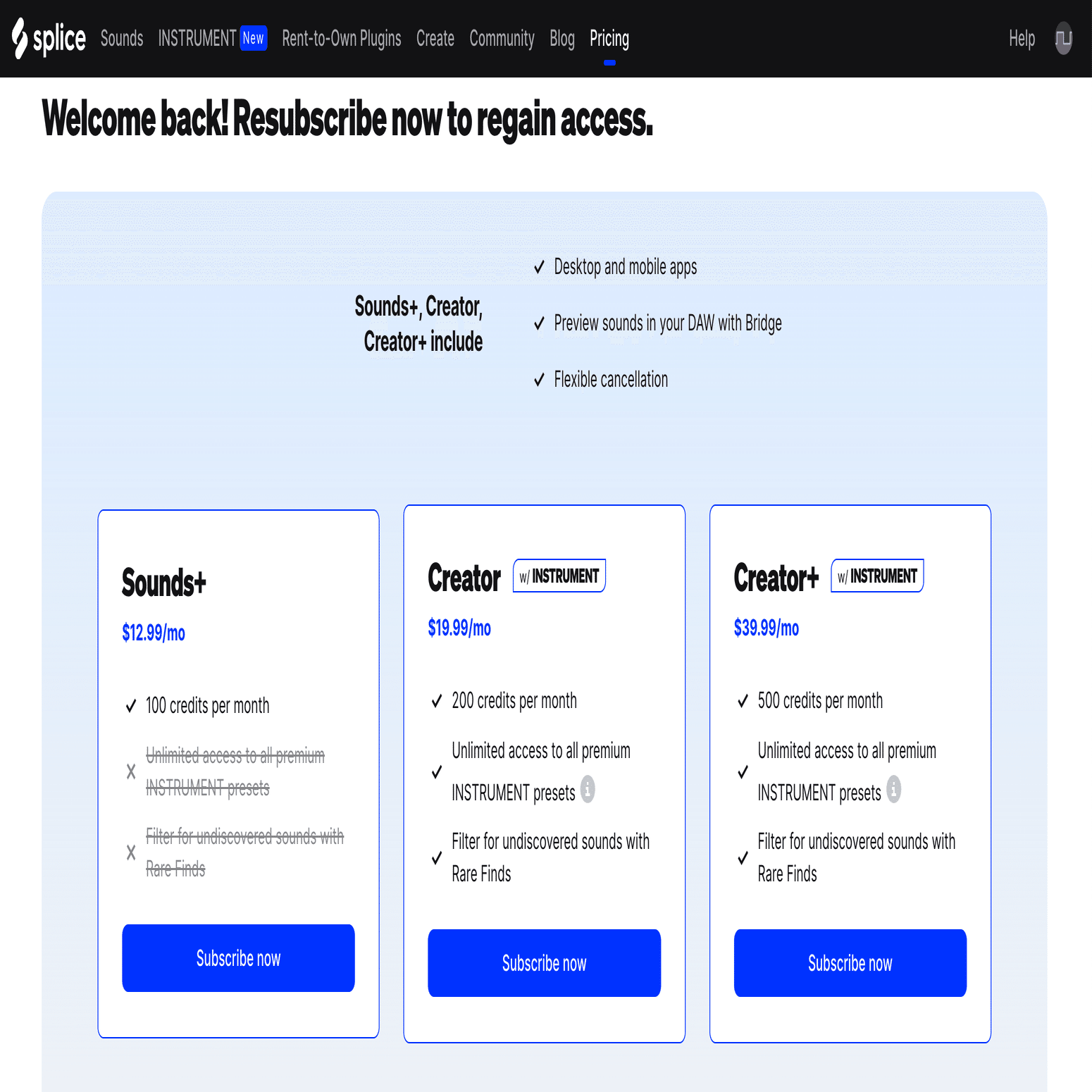ジンジャーブレッドラテ制作記録｜四元壯