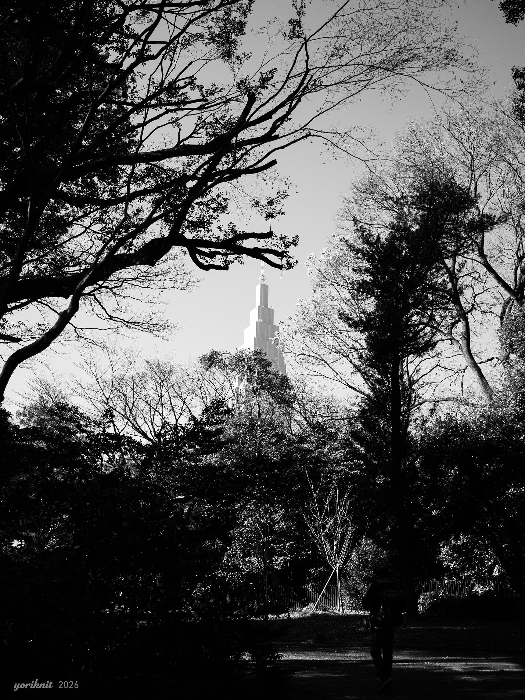 白黒とか、風景スナップとか。 ｜ Lumix G9 ProII（G9M2）｜yoriknit