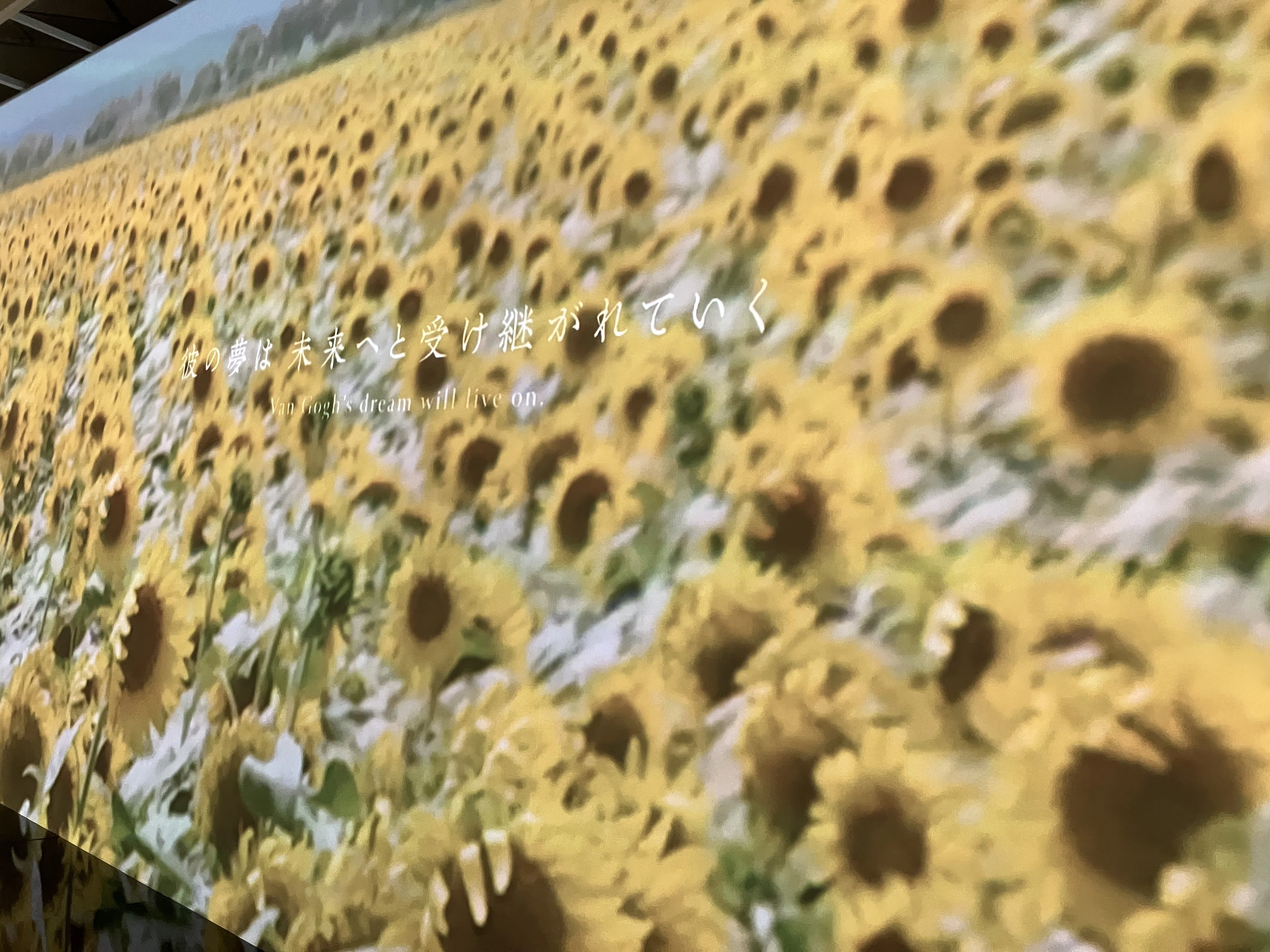 ⑲家族と繋いだ生きるを問う遅咲きの名画家/ゴッホ展(台東区/東京都