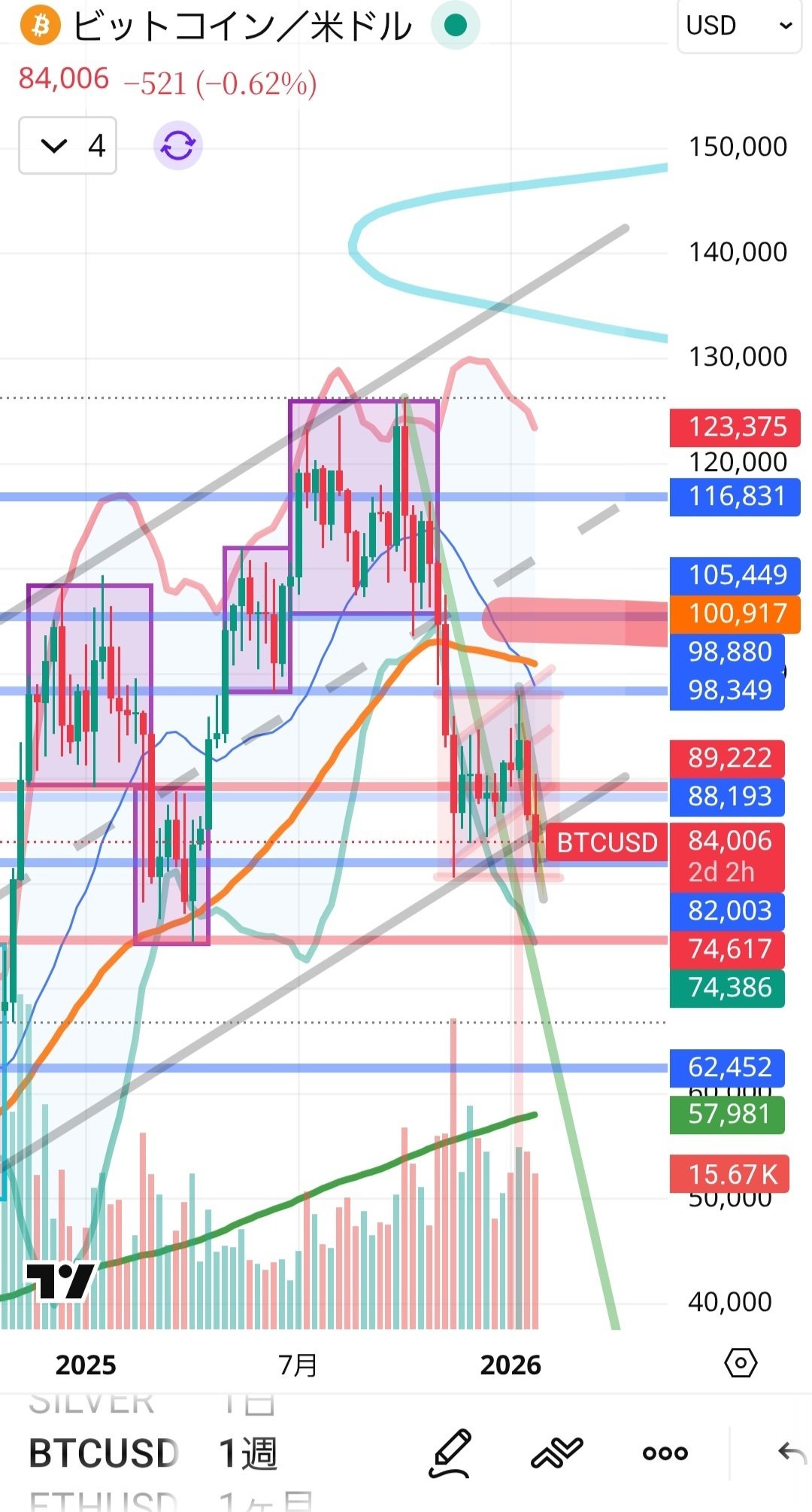 誠実投資】BTCトレード記録 81,000ドルでの「あえての逆張り」。汚い三尊と週足の罠について（2026.1.31）｜誠実経営・誠実投資  広告ゼロの接骨院経営術