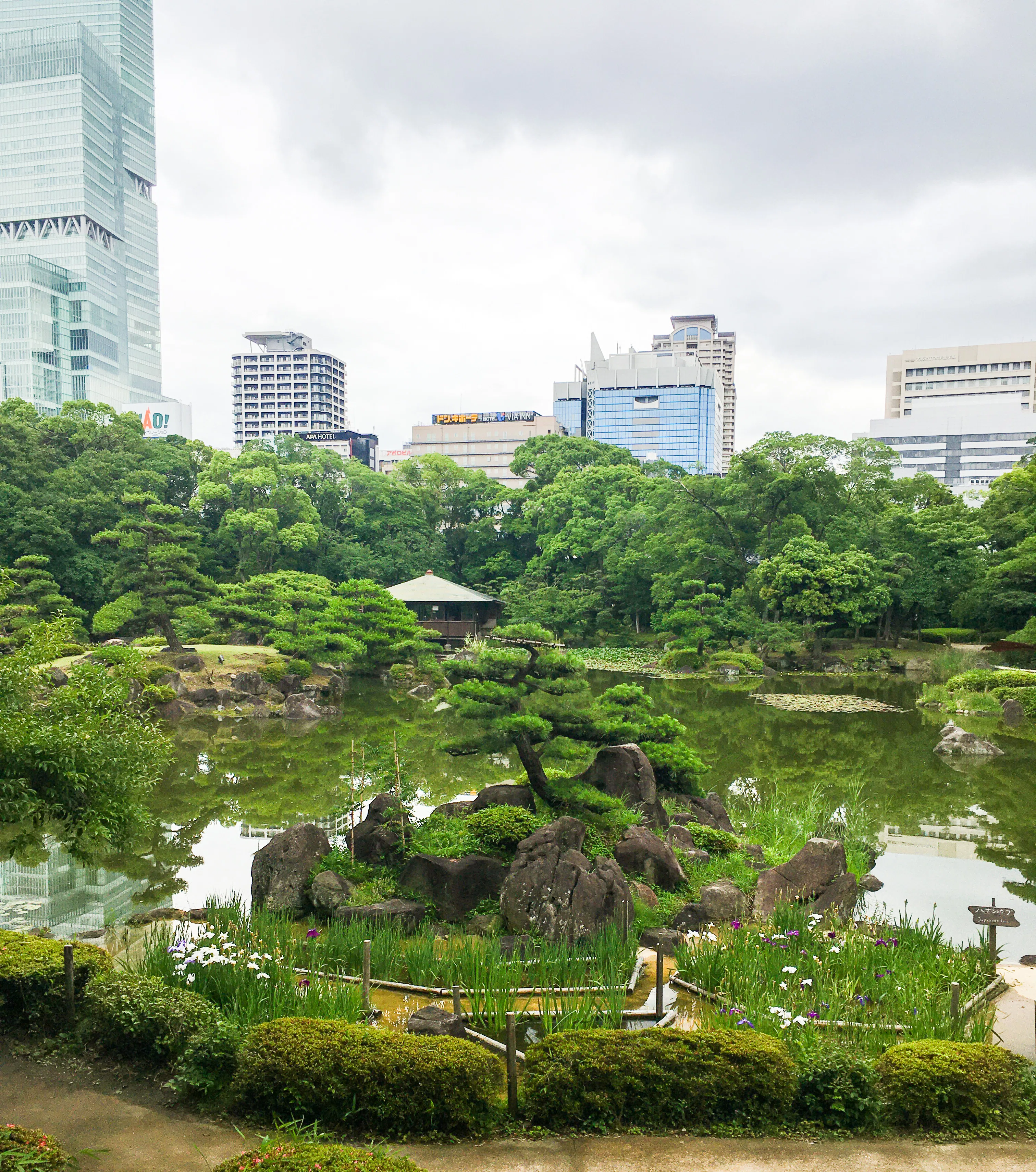 ここは大阪？！上町台地の尾根を歩く“和”な時間旅行｜波名P