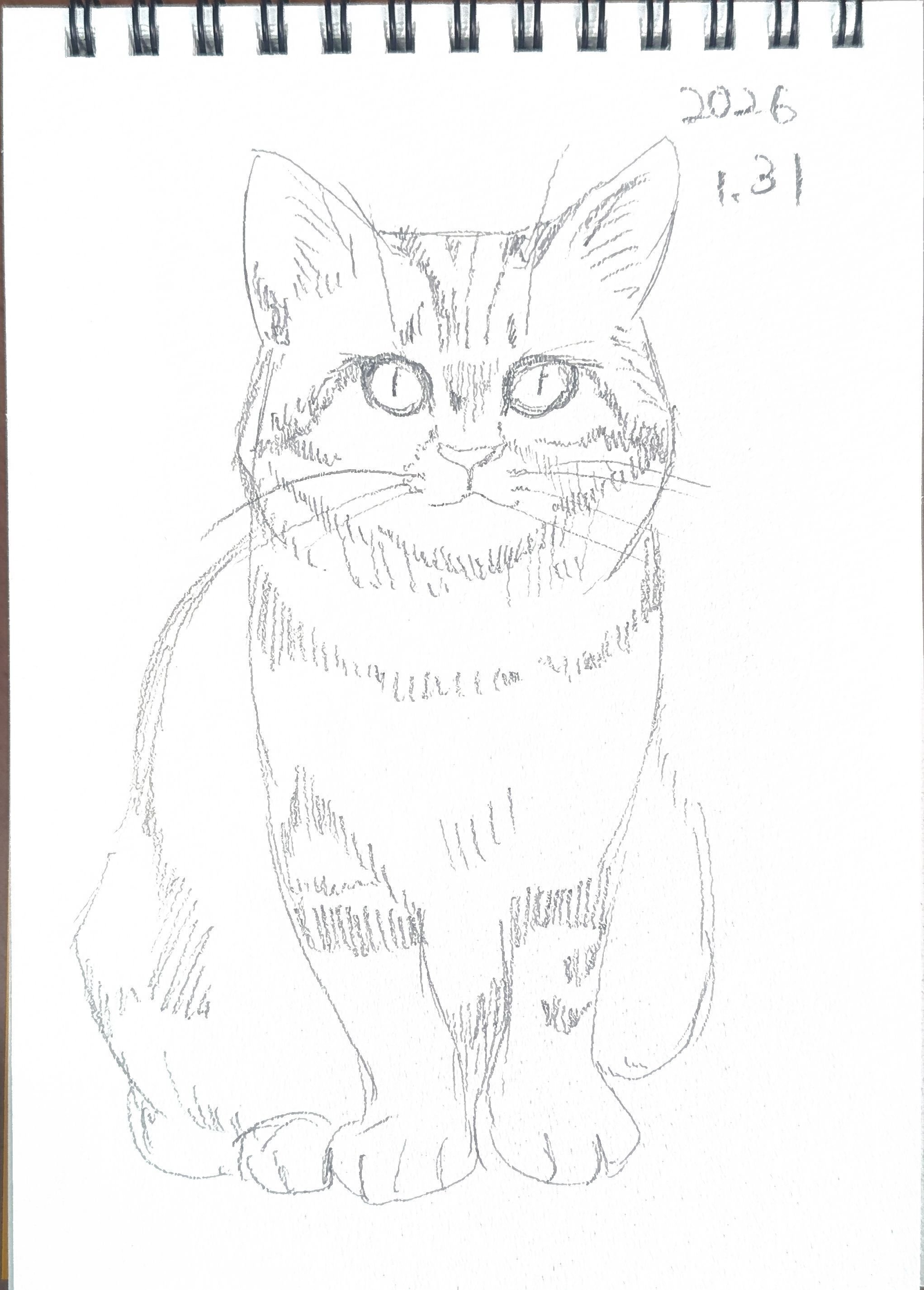 うちのねこちゃんのこと、鉛筆で描いてみた！｜ちもも