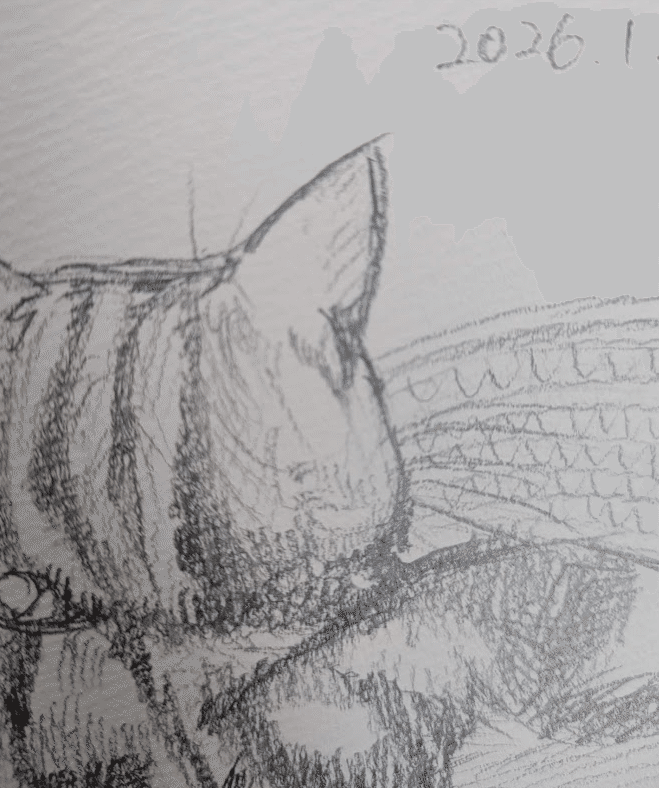 うちのねこちゃんのこと、鉛筆で描いてみた！｜ちもも