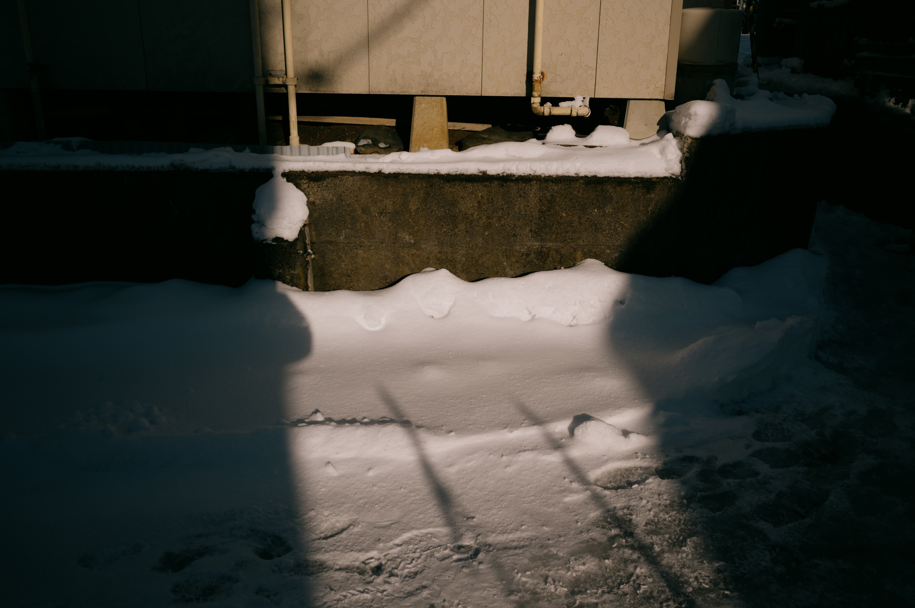 あっという間に1月最終週｜hirokiPhoto