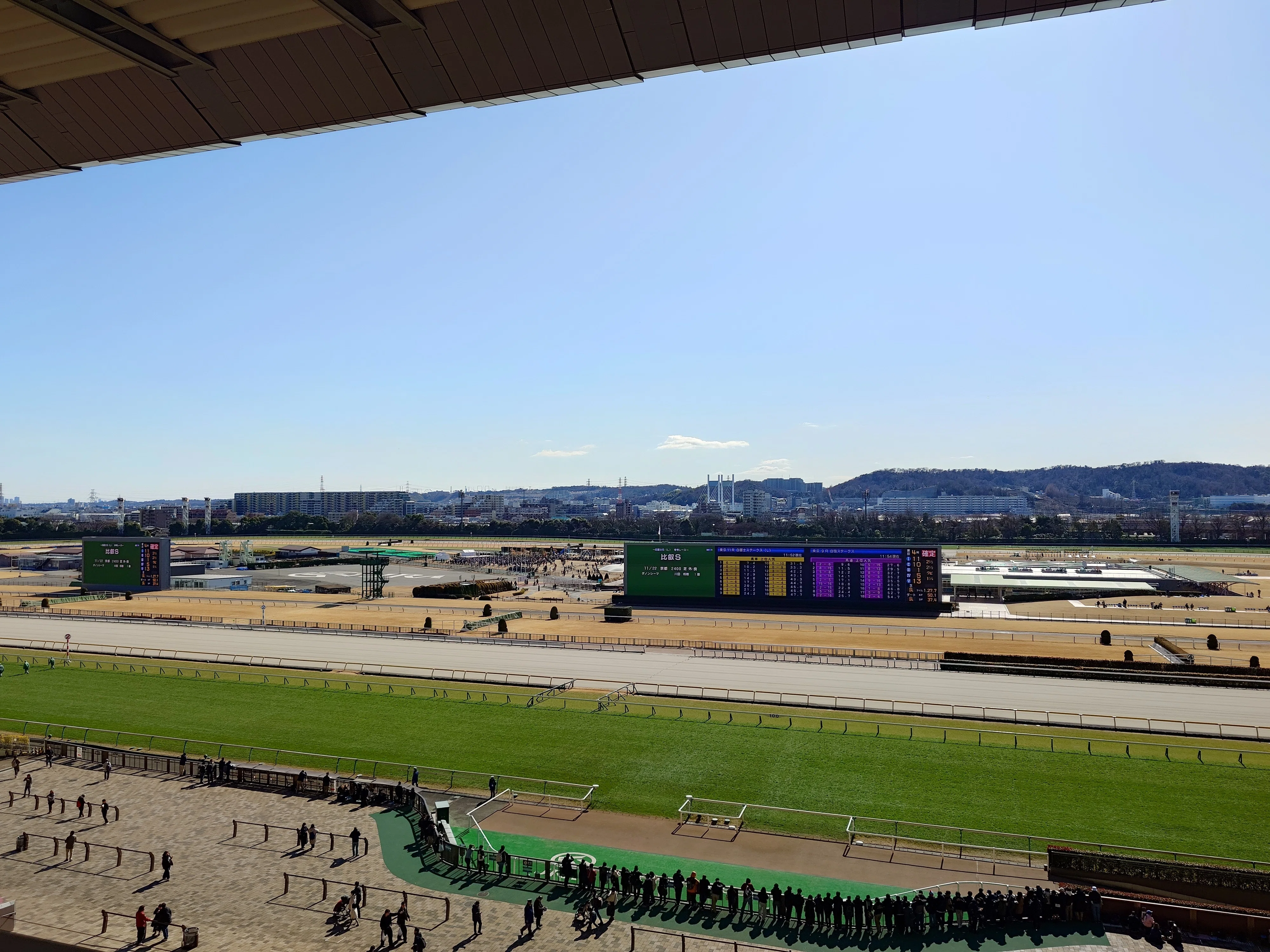 2026年 東京競馬初日｜horseracing lover