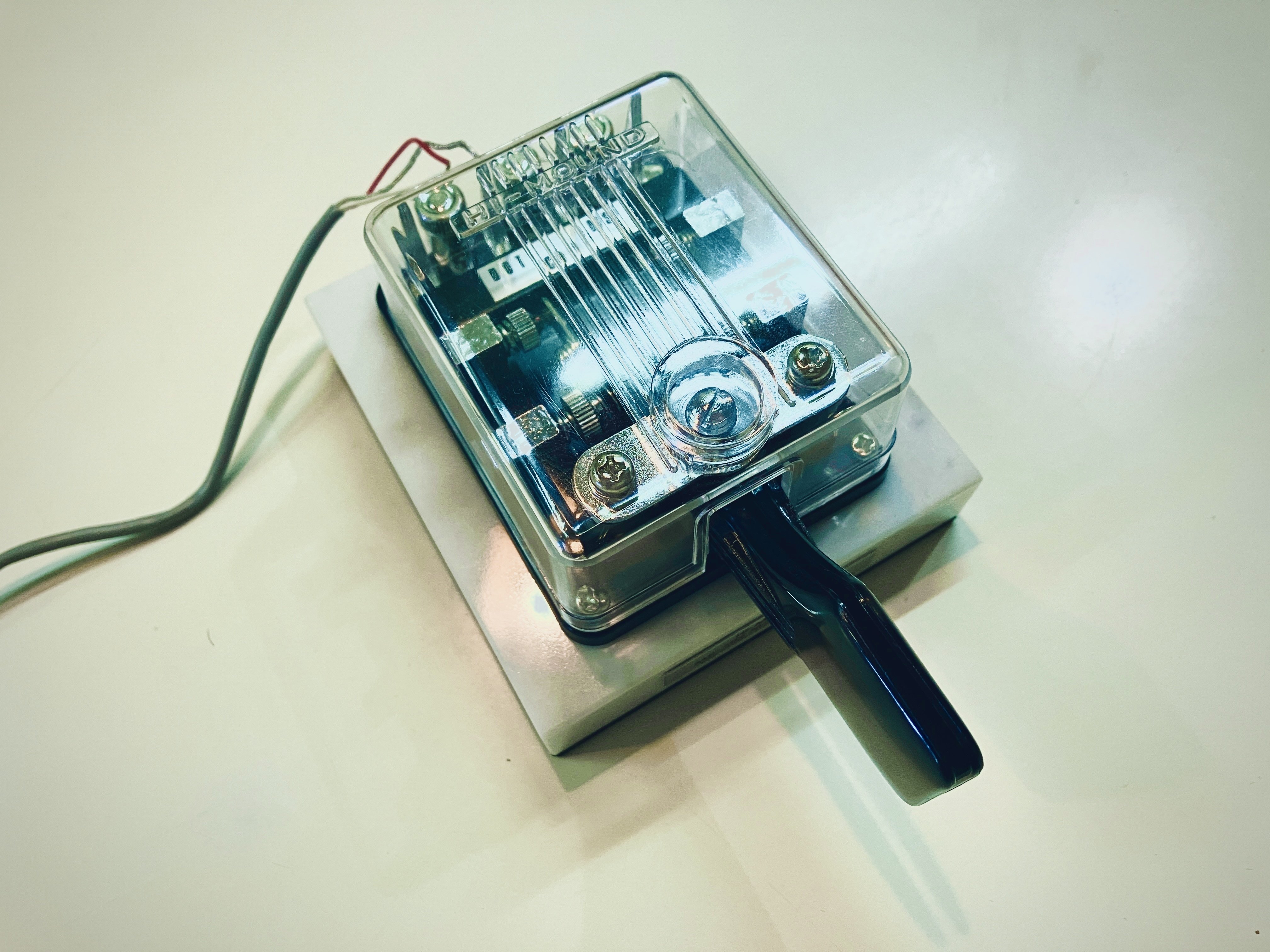 仏の笑顔でモールス信号を打っているポンコツな鬼 #20260131｜SUUA-SAN