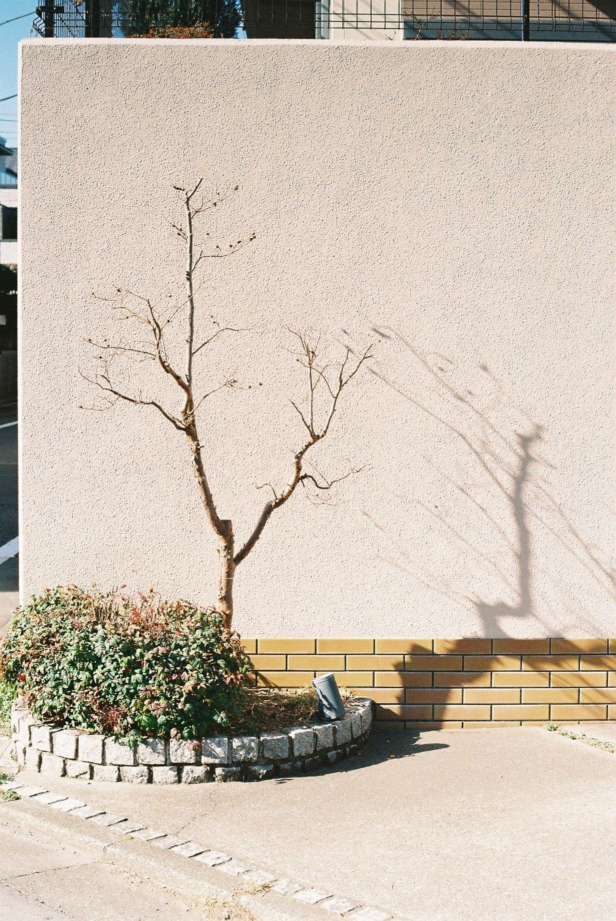 超希少　高級12枚羽　Fujimoto   E-Lucky 135mm f4.5　m39 カメラレンズ LEICA DG VARIO-ELMAR 100-400mm / F4.0-6.3 II ASPH