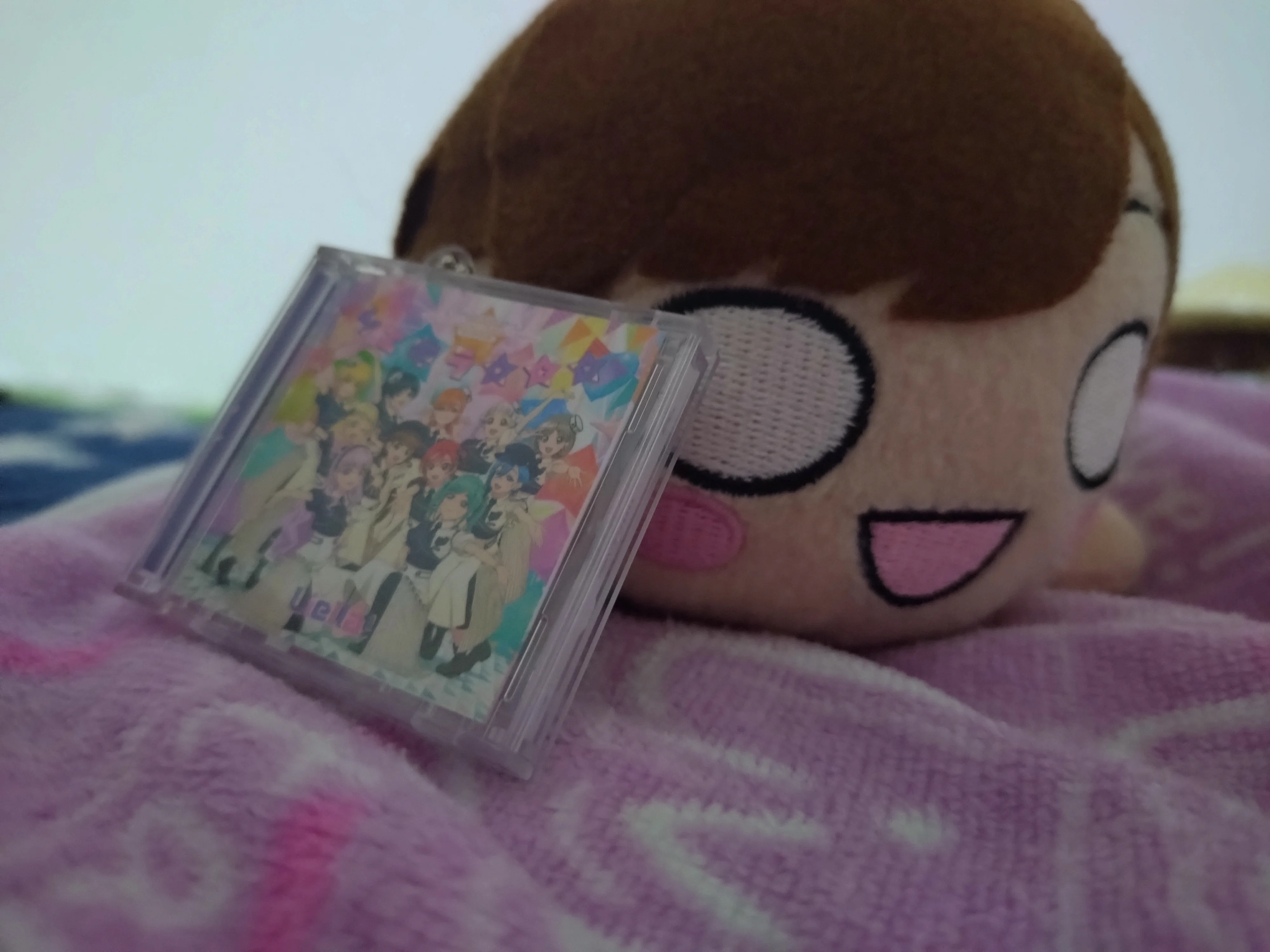 お手軽？】自作寝そべりぬいぐるみ製作日記｜ろーし