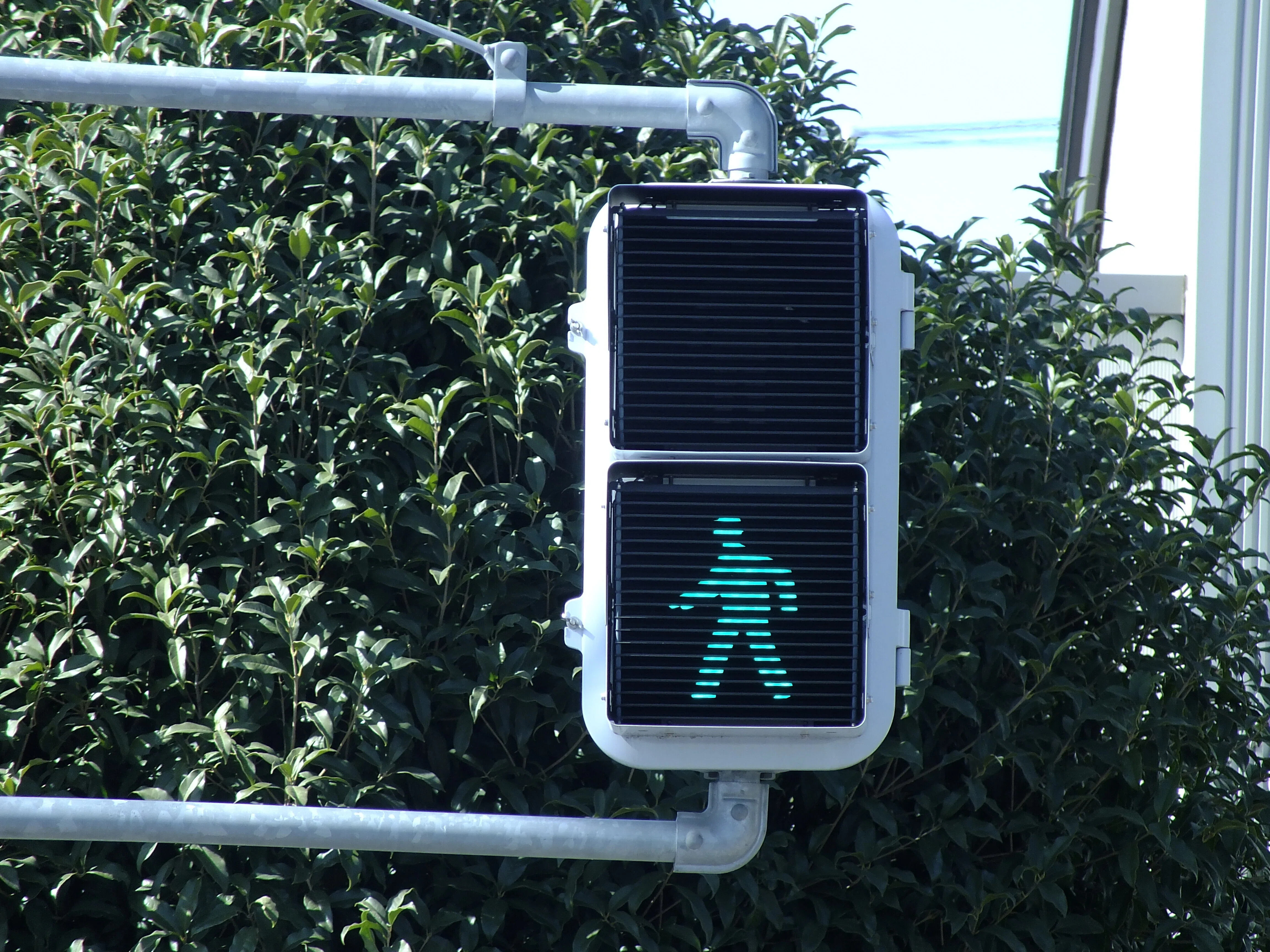 K19-132】本庄市西富田(北)にある信号電材薄型曇りレンズ四角制限