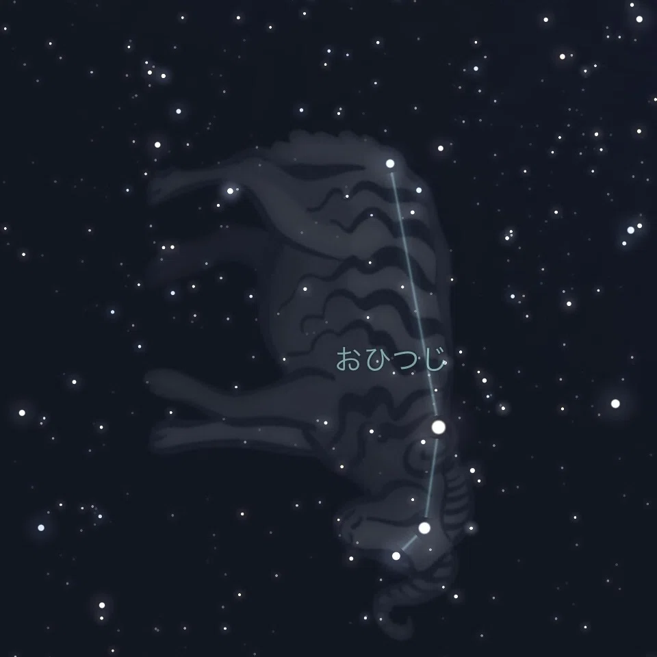 星座の絵への疑問から、立体星座へと思考が広がった話｜Mika＊旅手帖