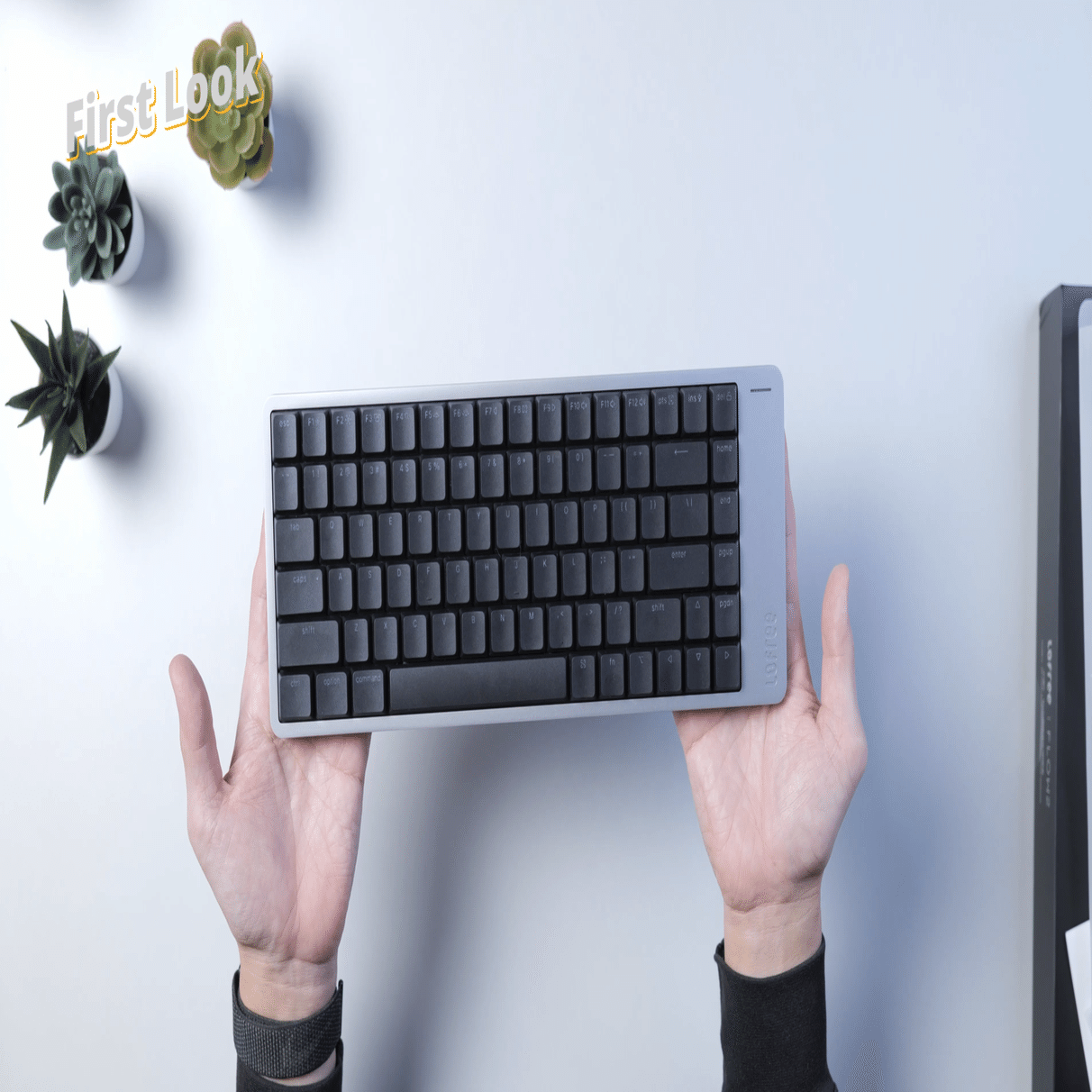 Lofree Flow2｜開封レビュー｜ootaseiji