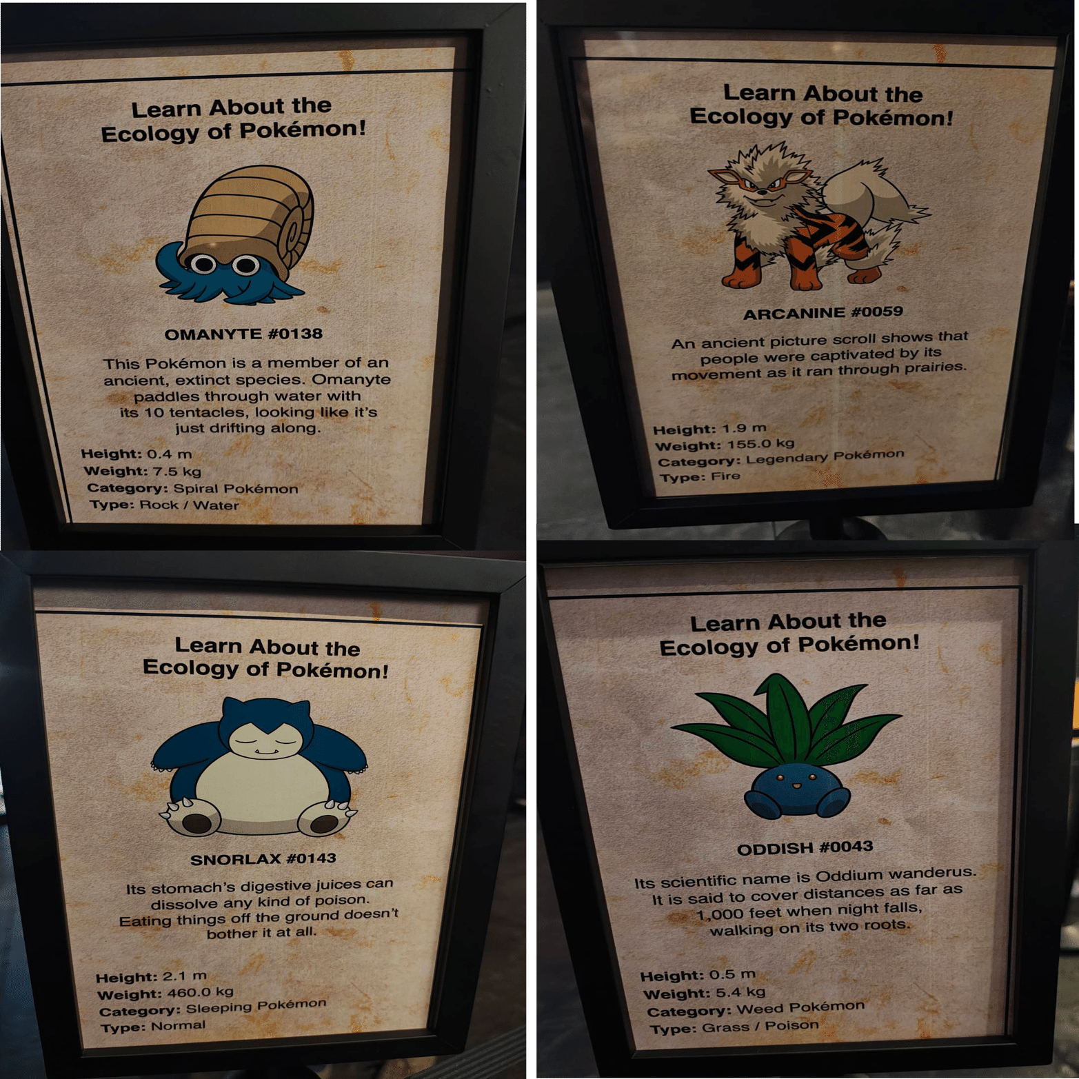 ポケモン×ロンドン自然史博物館コラボレポ：博物館はジレンマを