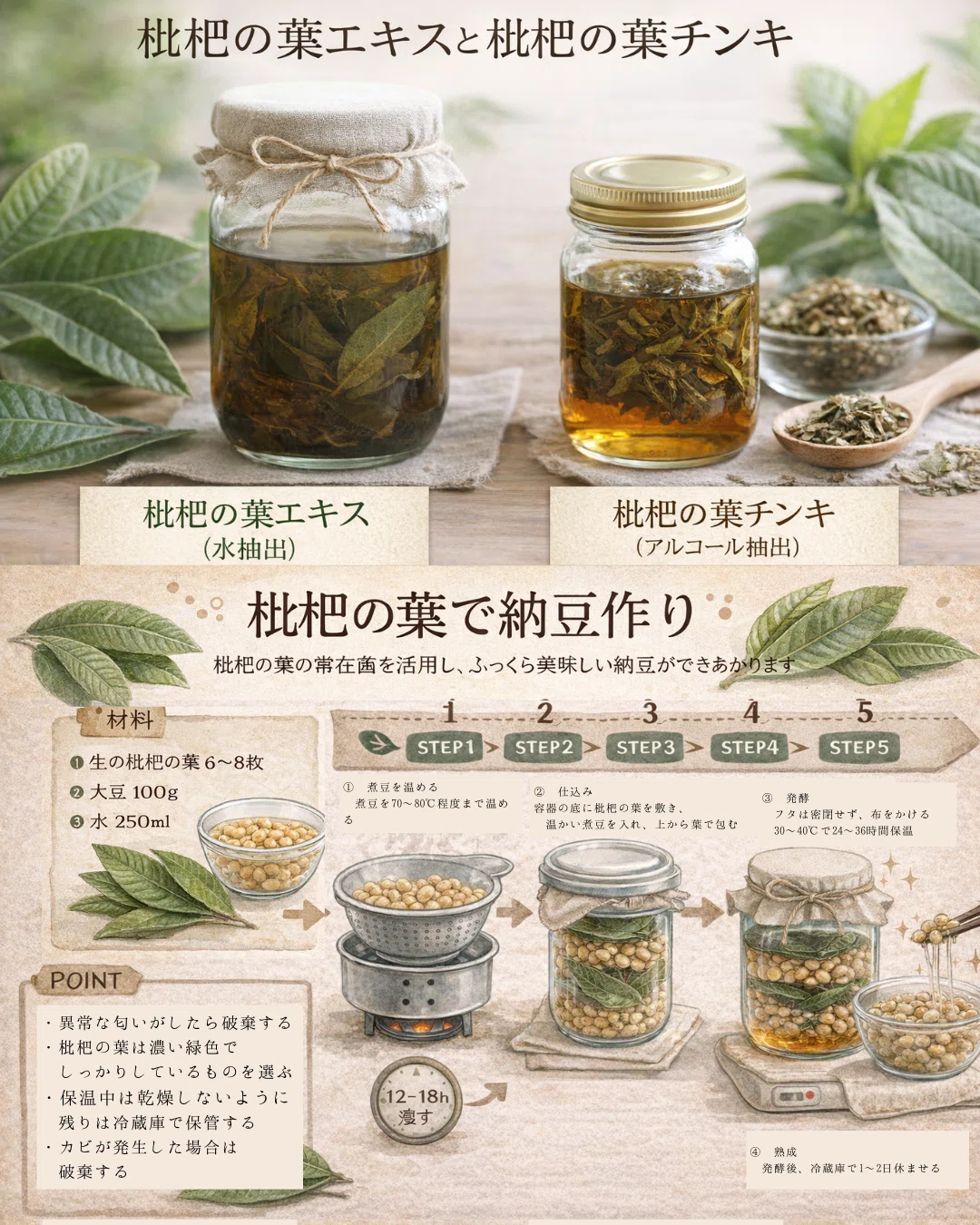 枇杷の葉チンキとエキスと発酵レシピ｜福岡 | 薬草てらこや|アジア薬草