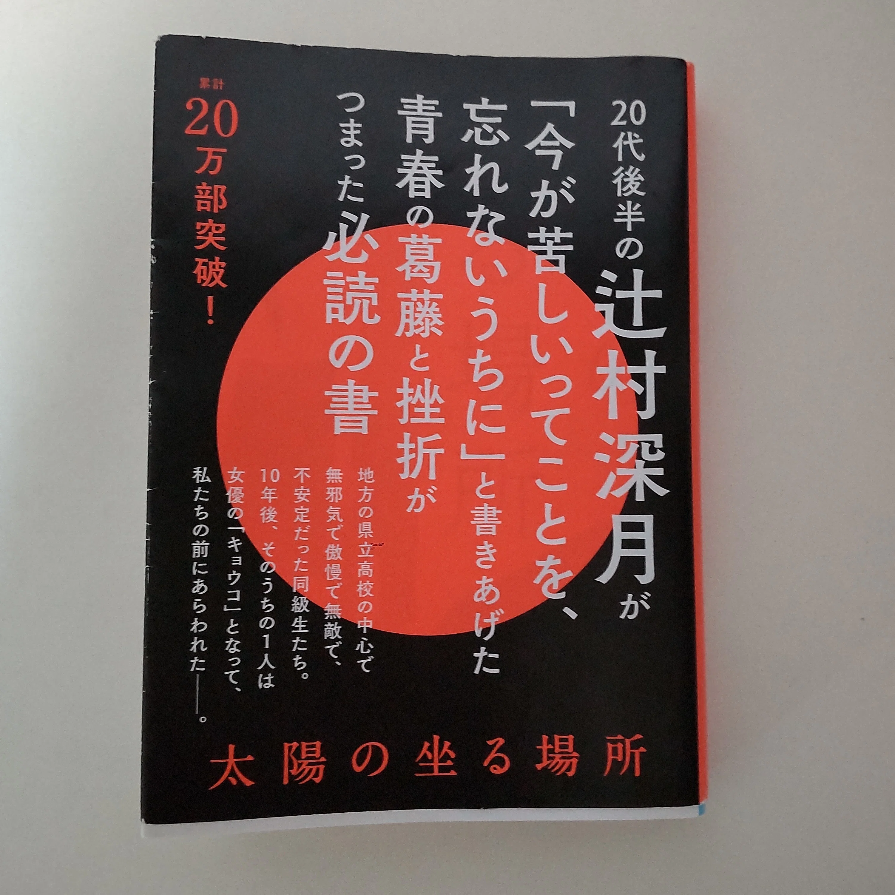 太陽の坐る場所(辻村深月)｜中川希美