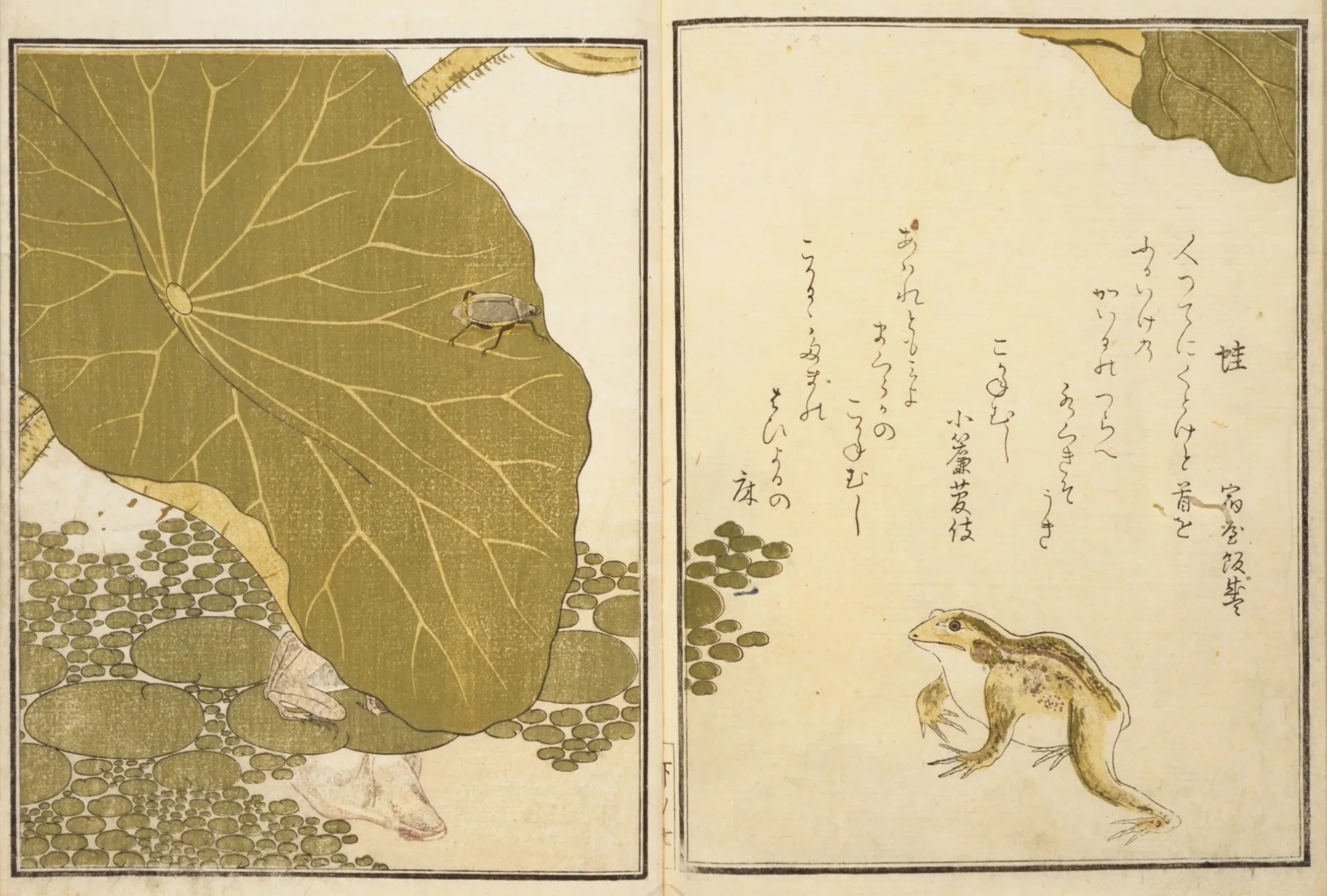 蔦谷重三郎×喜多川歌麿】画本虫ゑらみ④蓑虫×兠虫／蝸牛×轡虫など