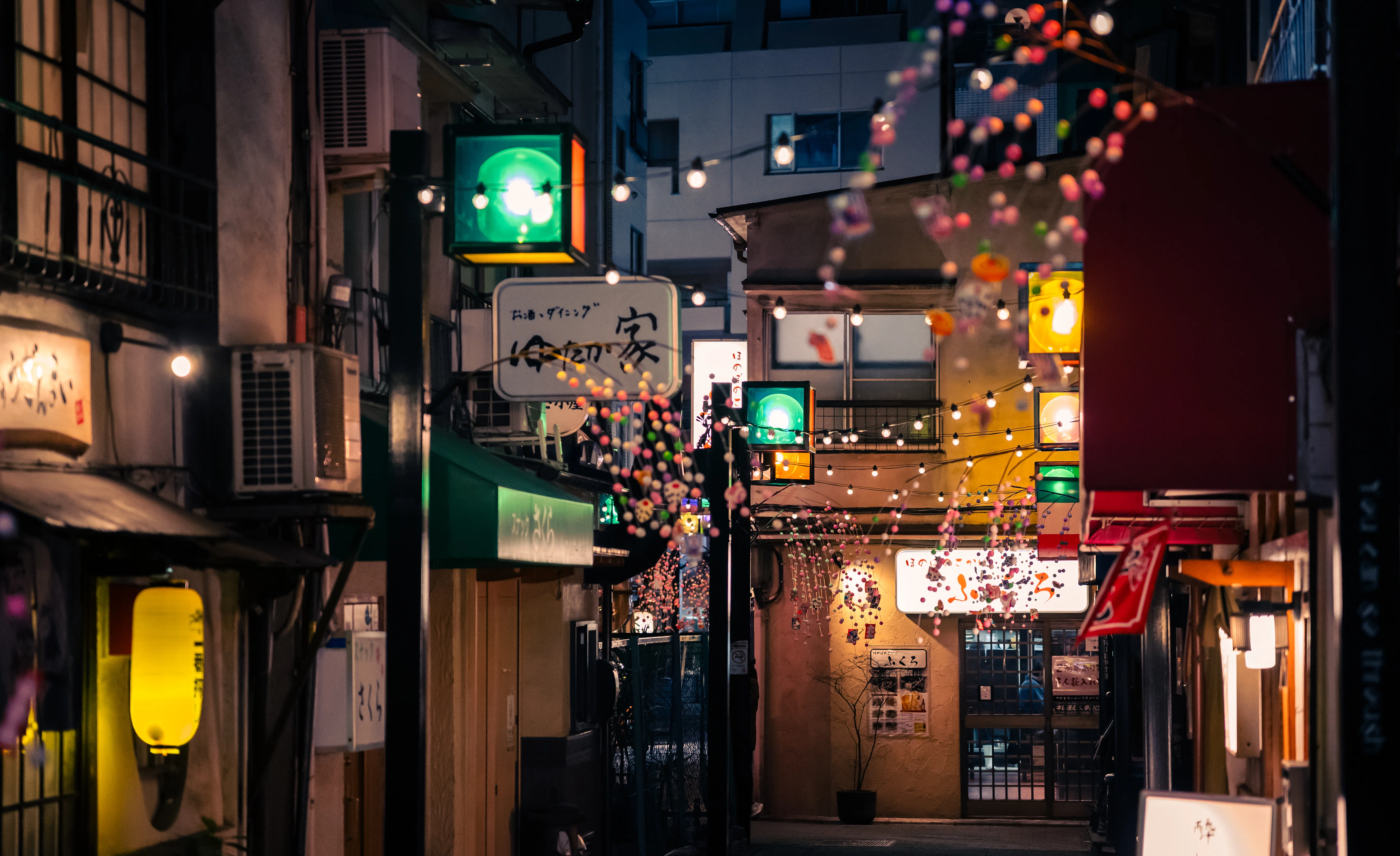 Zfc】カメラ初心者の写真が1年でどう上達したか｜作例11枚で