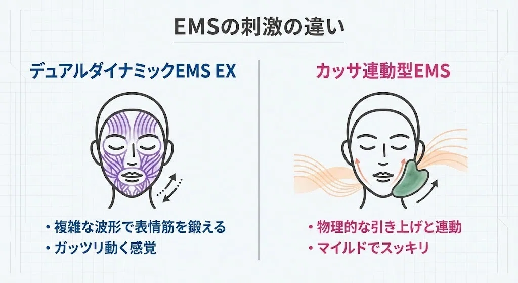エクストラカッサとバイタリフトRF EXを徹底比較！違いや機能は