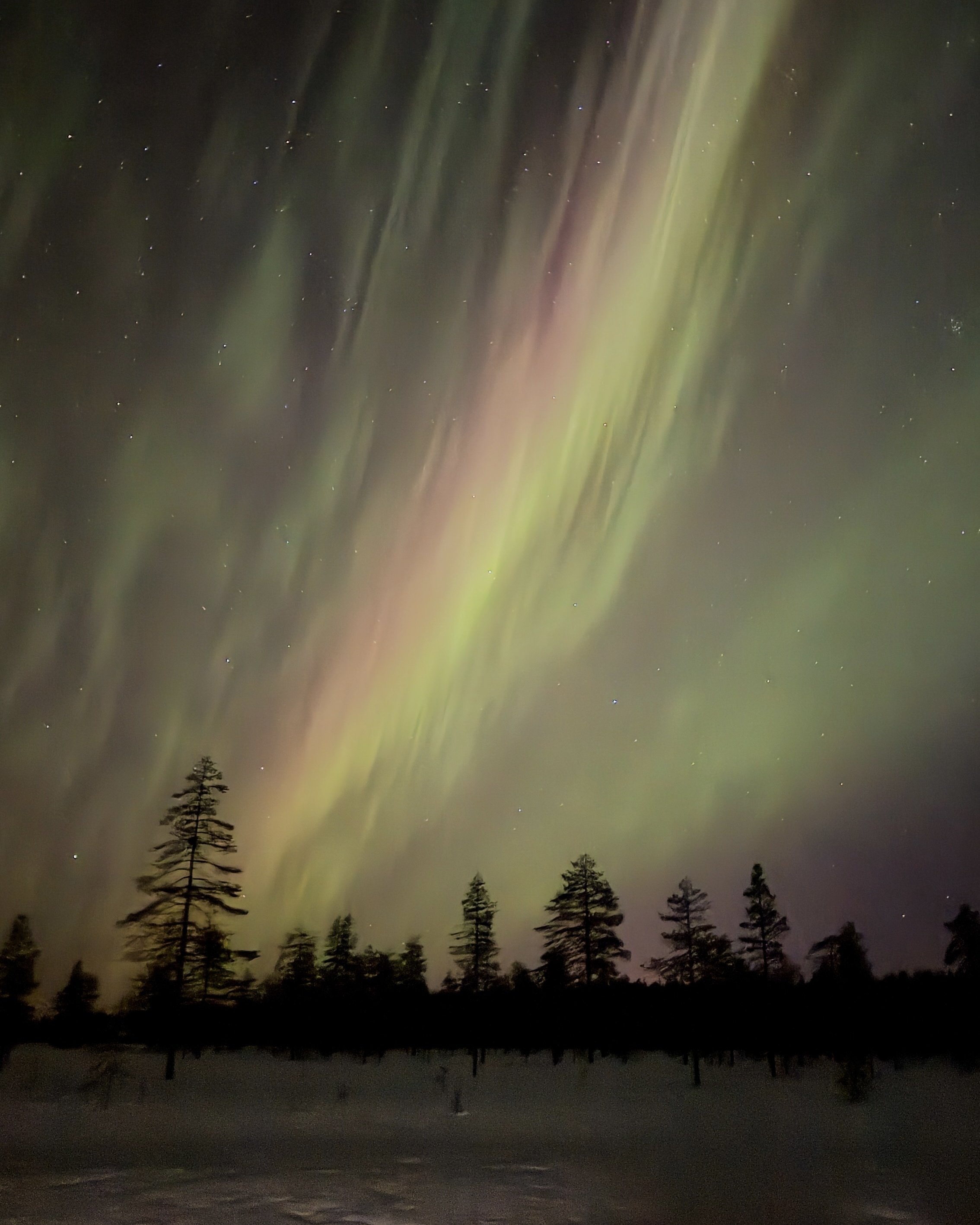 完全版】失敗から学んだ、オーロラ旅の最適解 〜アイスランドで撃沈