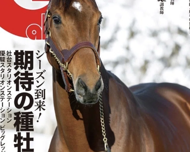 東京新聞杯・きさらぎ賞解読と予想｜SHOKEN