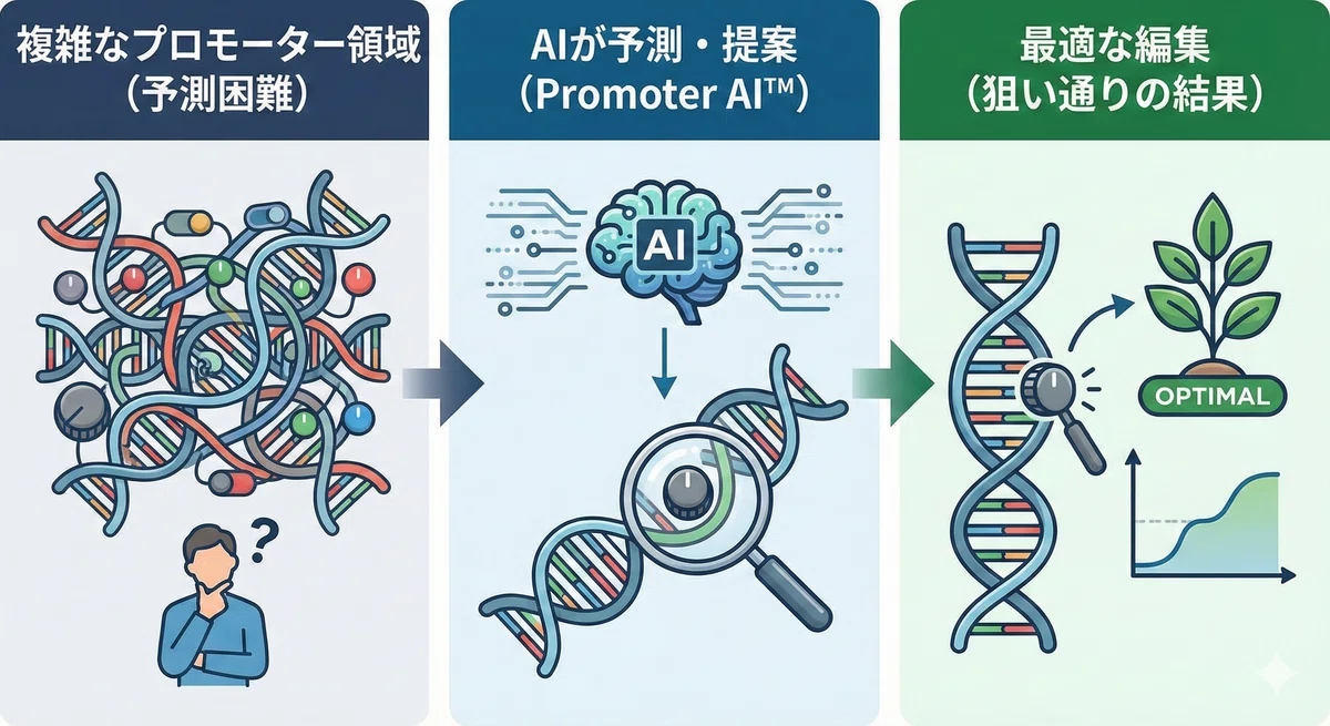 株式会社GRA &GREENーー“種から社会を変える”ゲノム編集スタートアップ｜DeepTech Stories Japan