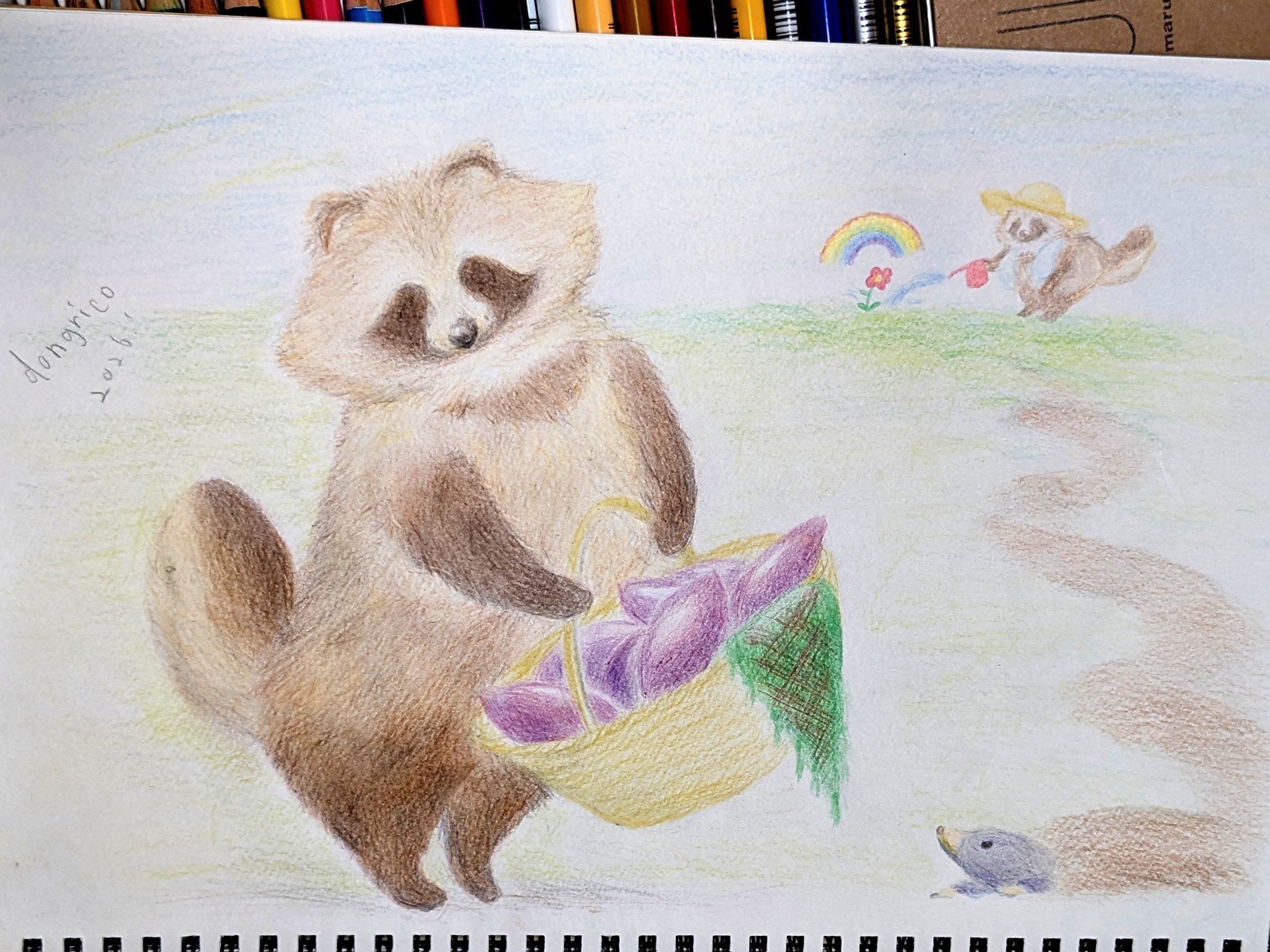 色鉛筆で、タヌキの色探しの旅｜どんぐり子（たぬき絵）