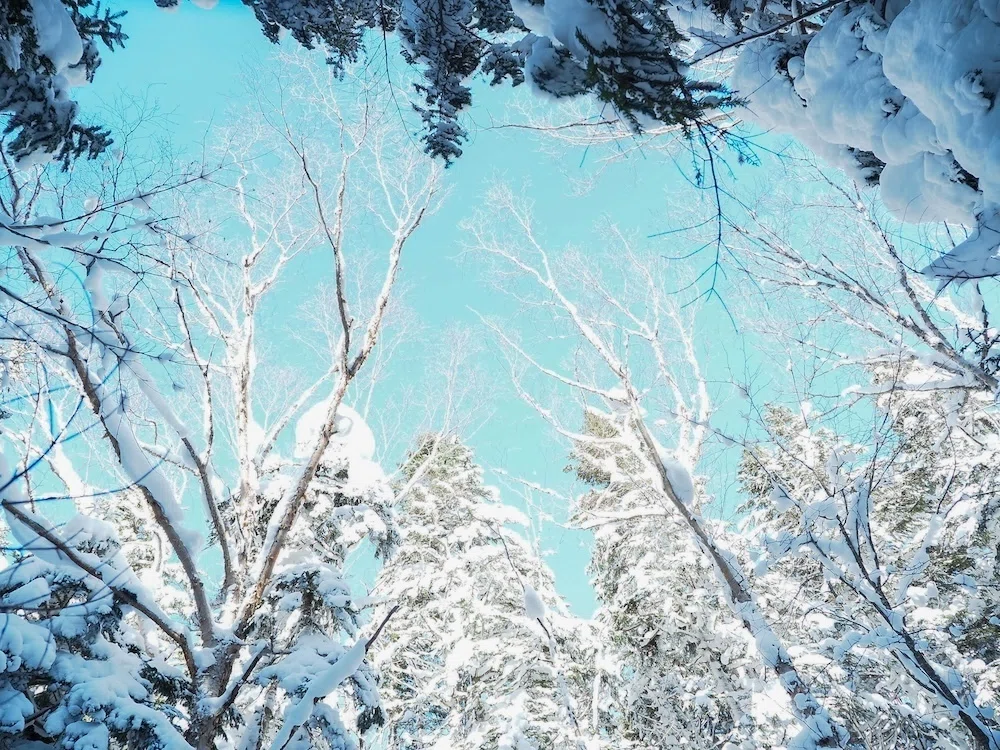 To the silver-white scenery you can only see now | YAMAP staff