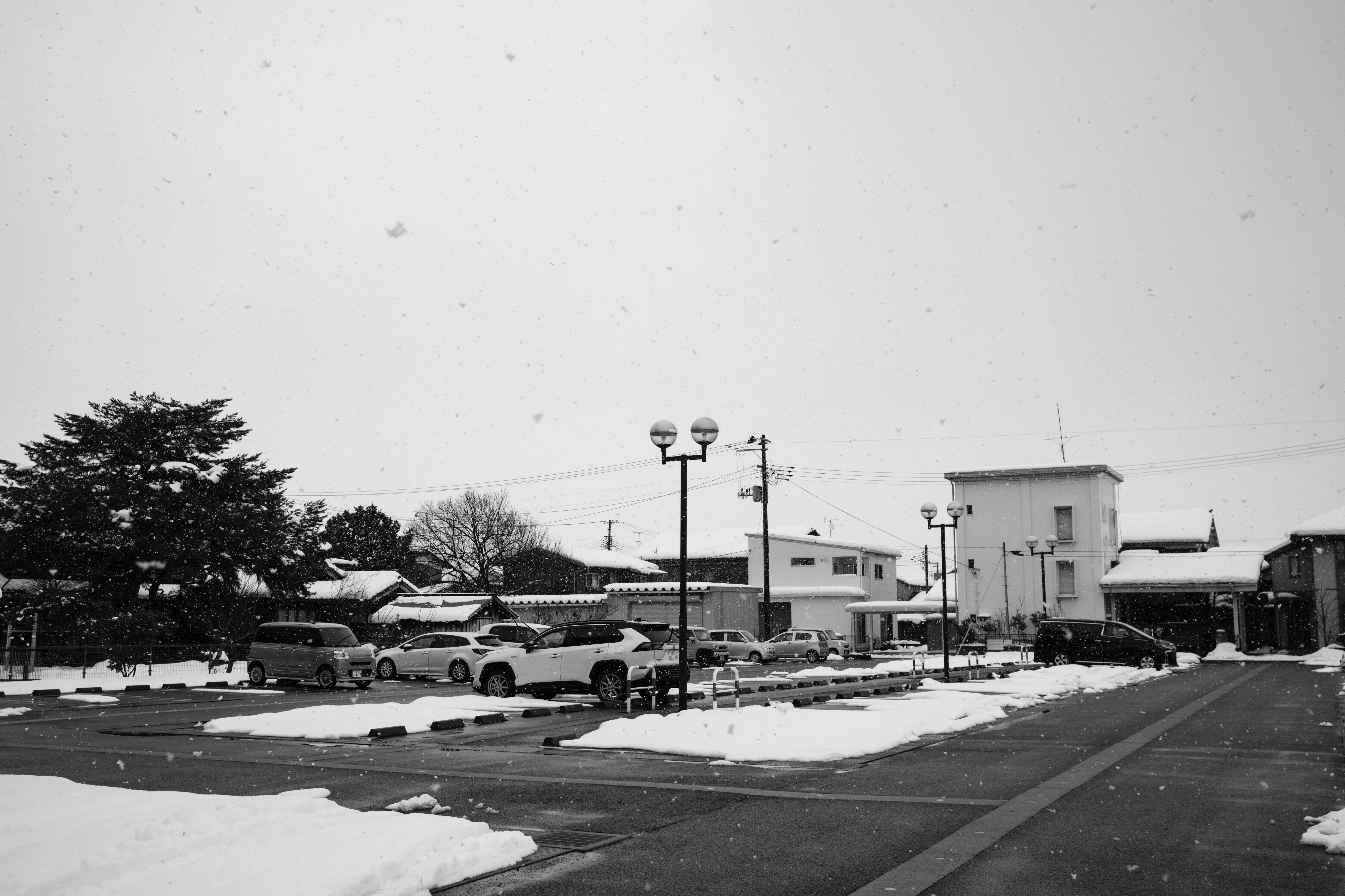 FUJIFILM X-E5 / ACROSで写す雪の日｜chiba