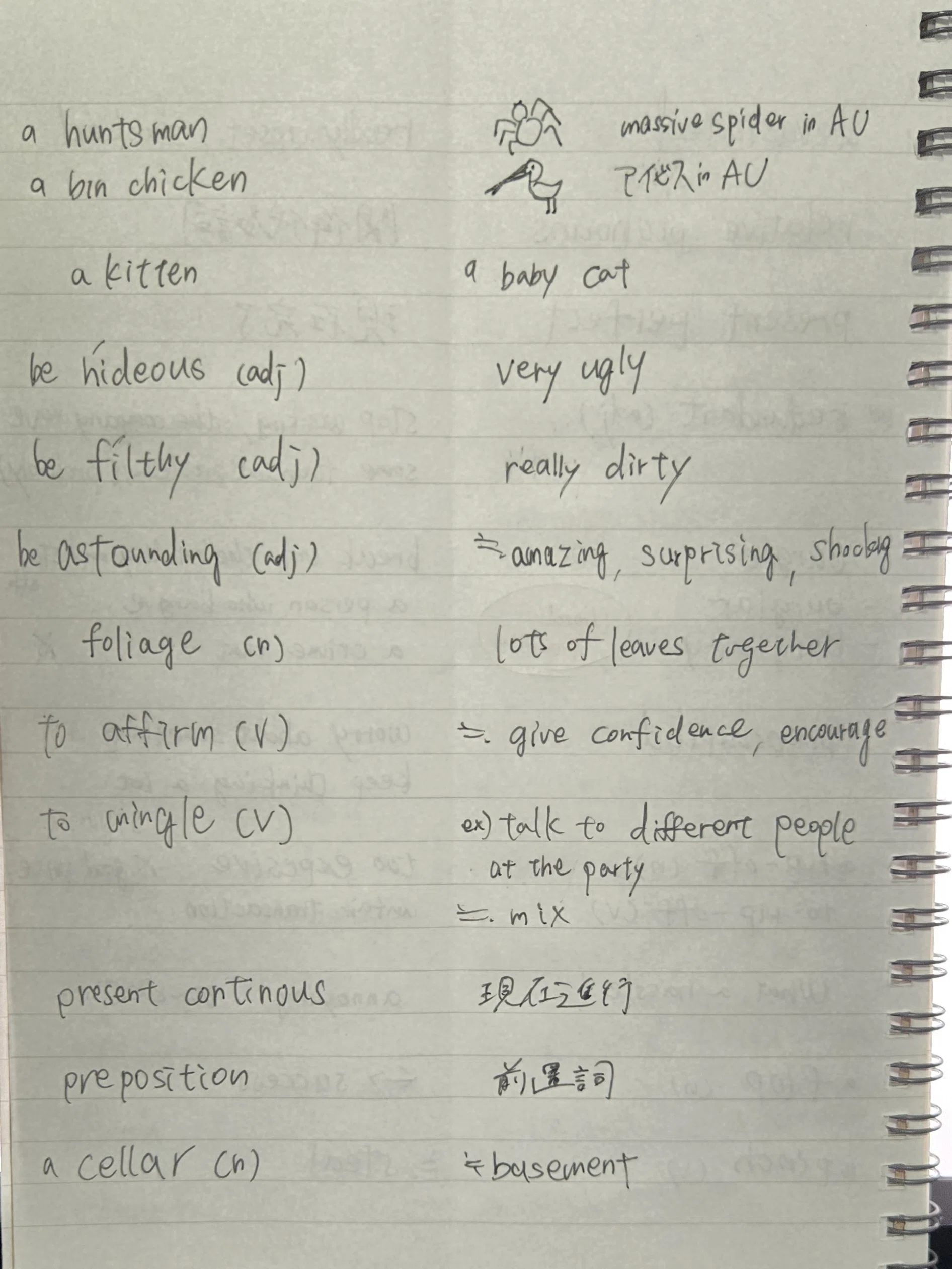 How to Learn English Vocabulary from Natives | A Vocabulary