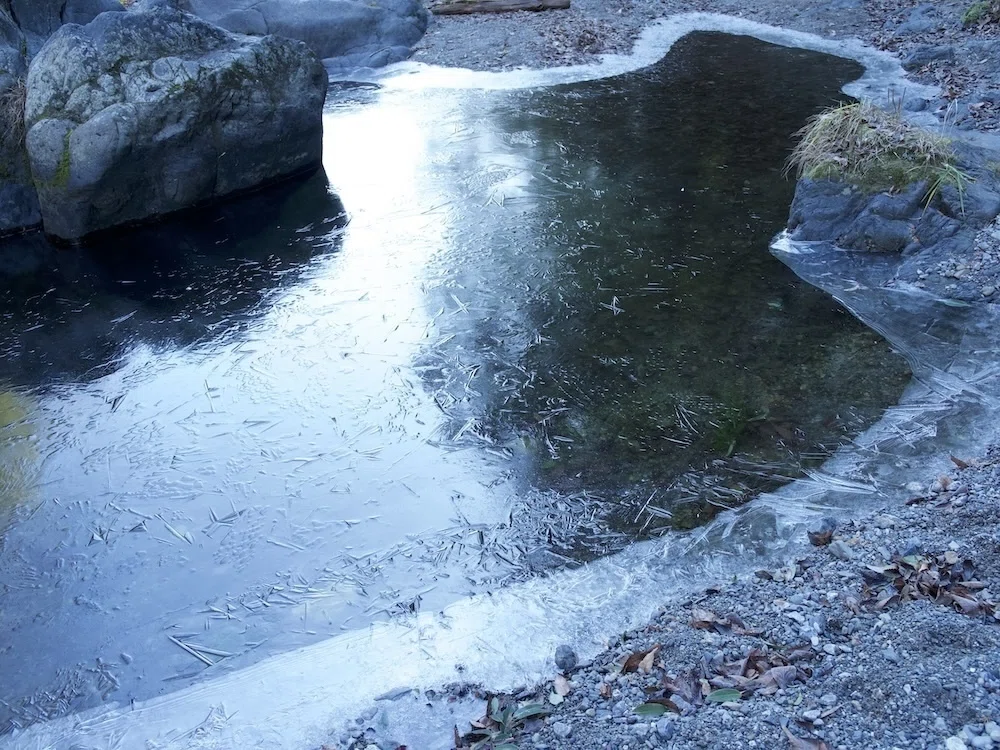 標高197mの山歩が、都会の疲れを溶かしてくれた｜YAMAPスタッフsamiの