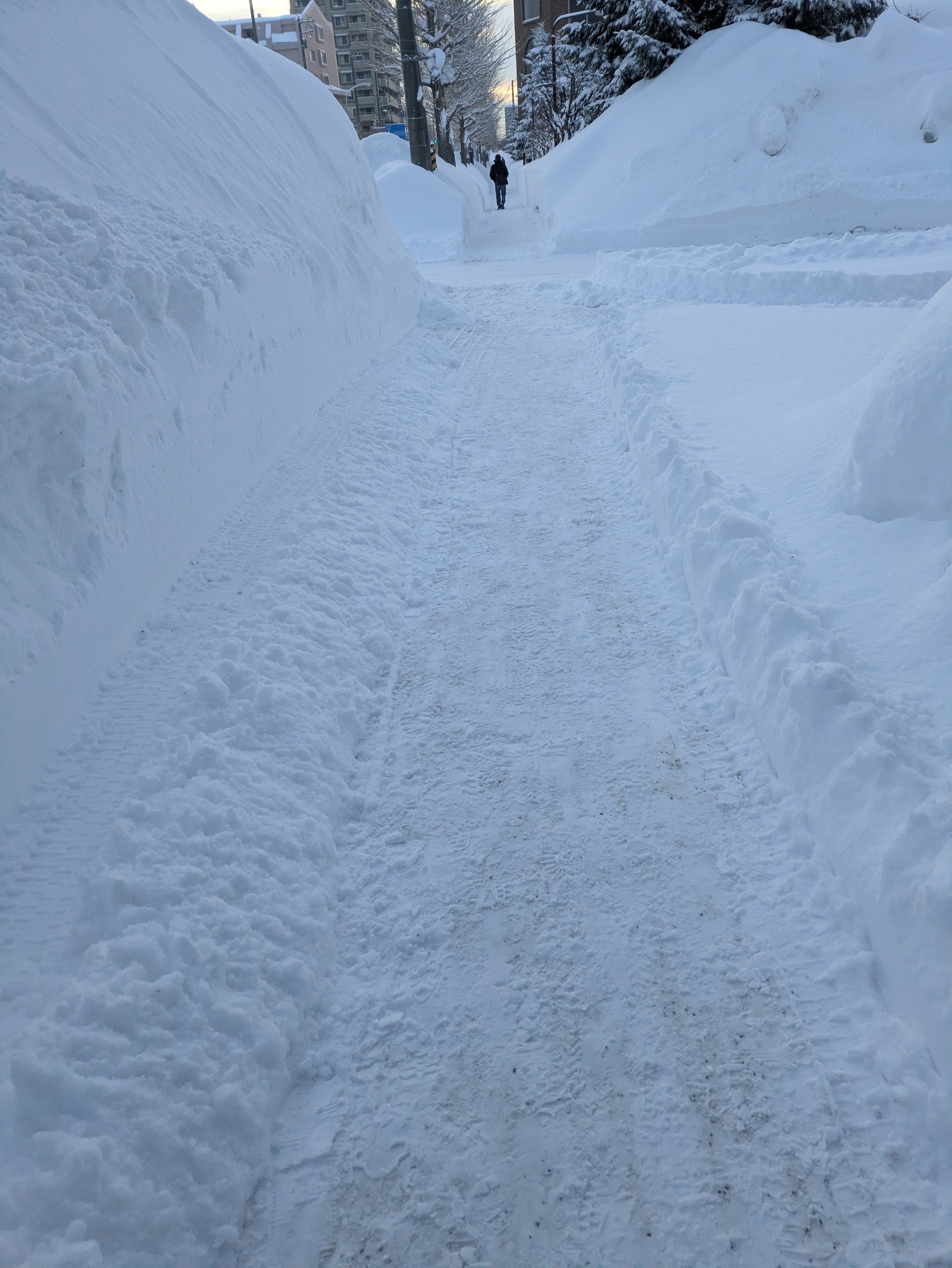 またか…雪…2026｜Deep Space