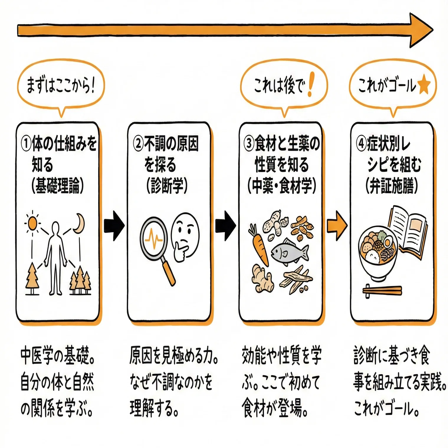 薬膳を学ぶ前に。迷わないための学習ロードマップ｜三浦真理 薬膳