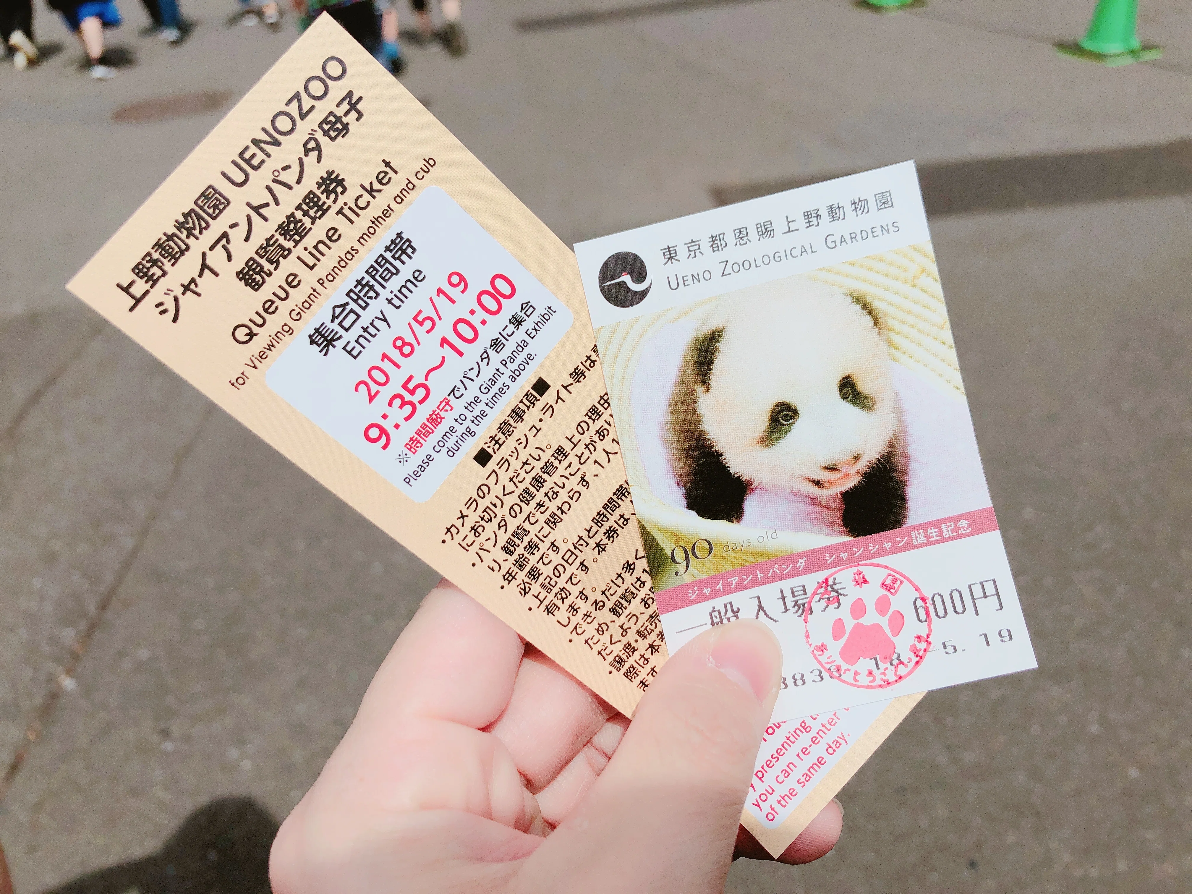 わたしとパンダ｜ぽてと