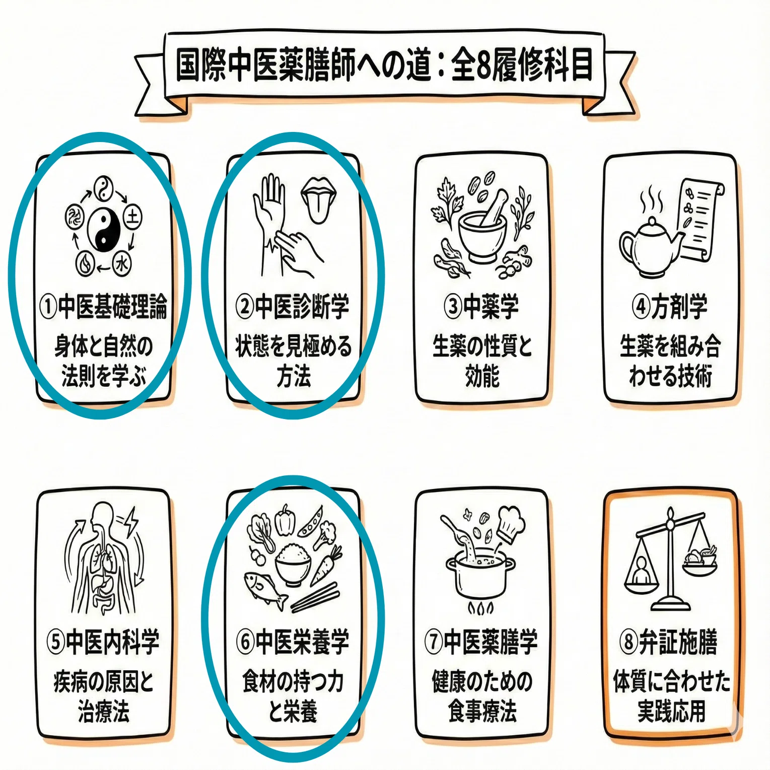 薬膳を学ぶ前に。迷わないための学習ロードマップ｜三浦真理 薬膳
