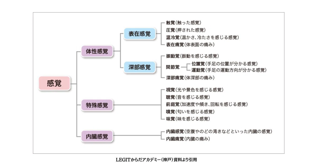姿勢制御【感覚統合】|しげさん/講師【鍼灸×運動療法×インソール】コンディショニングトレーナー