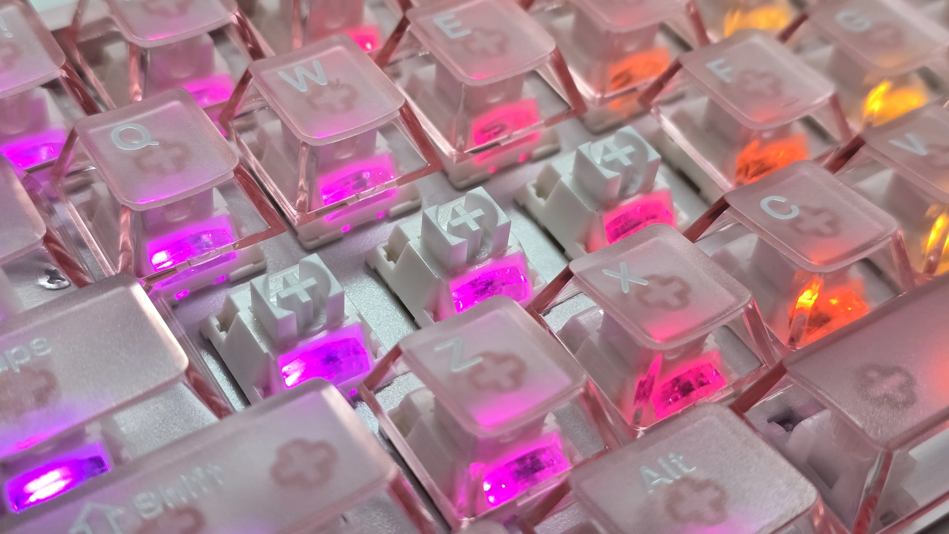 Affordable, Cute, and Actually Powerful: CAROTMAS Mer68 MAX Review