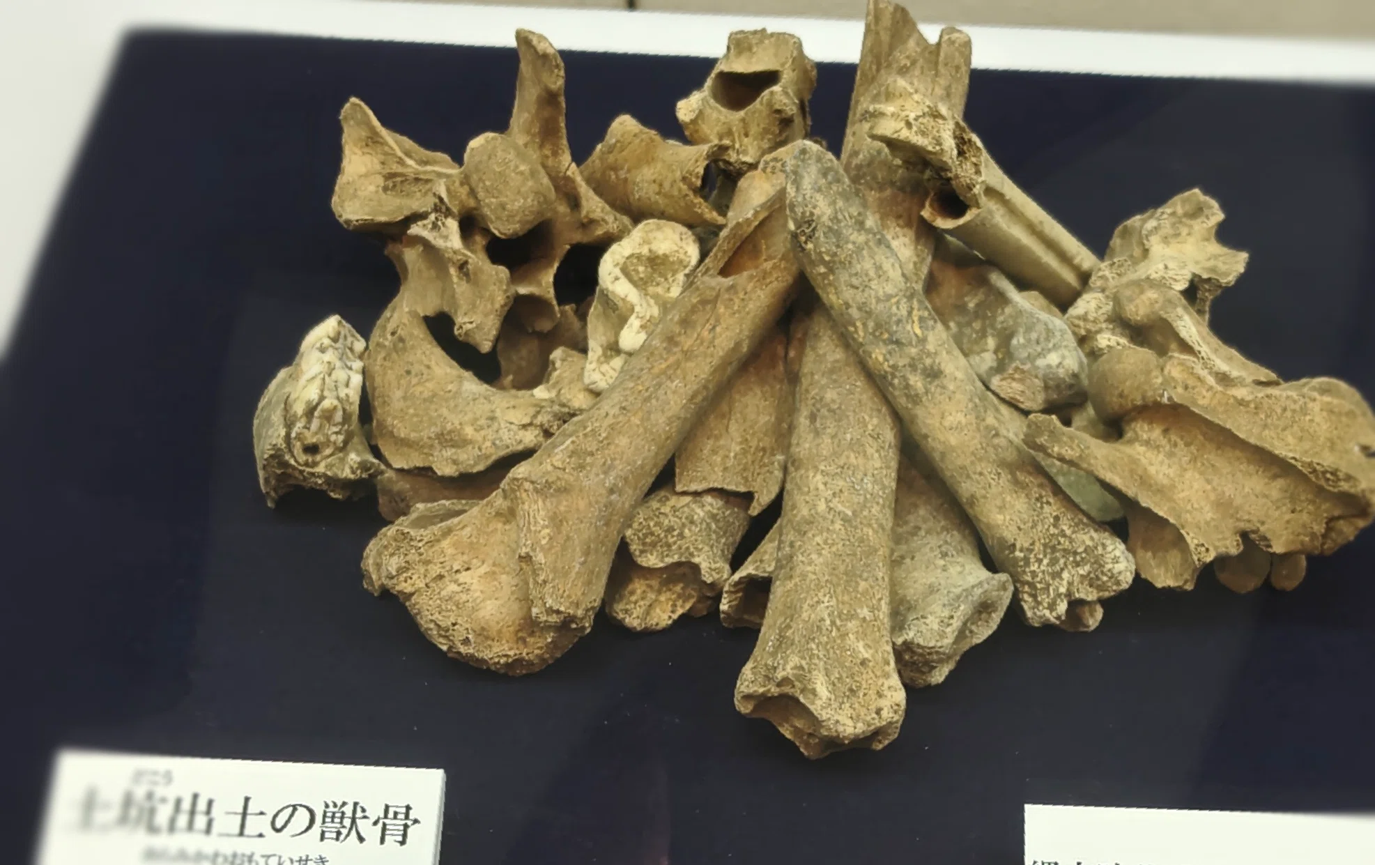 縄文晩期、姿を消した「顔」たちはどこへ？｜特別展『謎多き縄文晩期