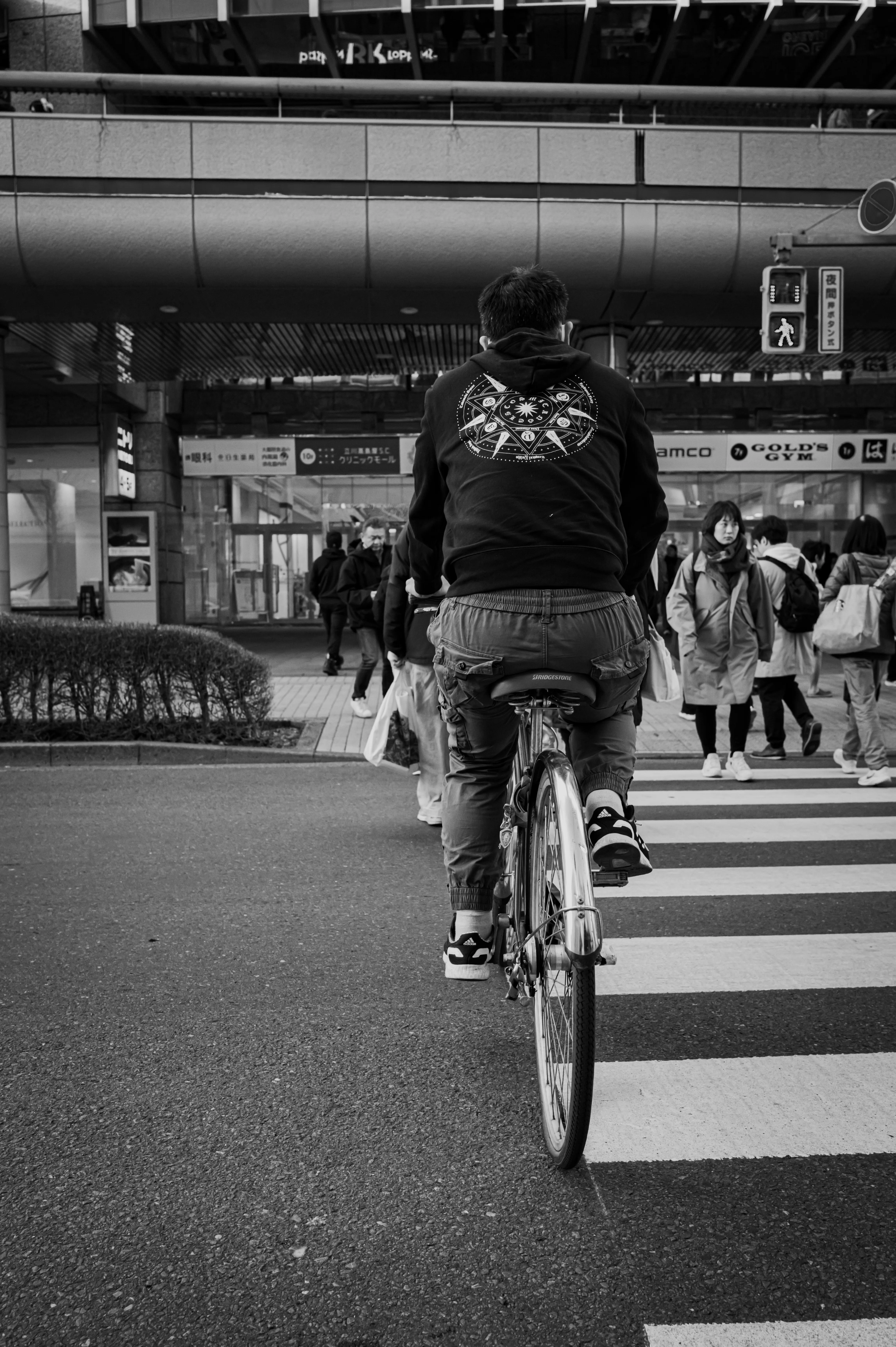 横断歩道様用です°・*:.。.☆ Casual scene. | 横断歩道 | LeicaQ3｜Noki