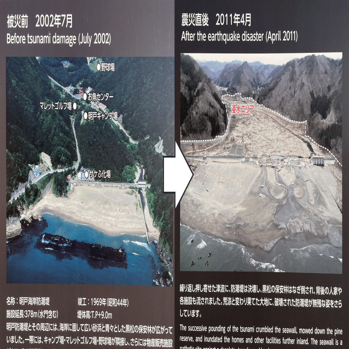 待っていた大波 待っていた大波 近藤 圭子 ♪海ほおずきの歌♪ 1955年