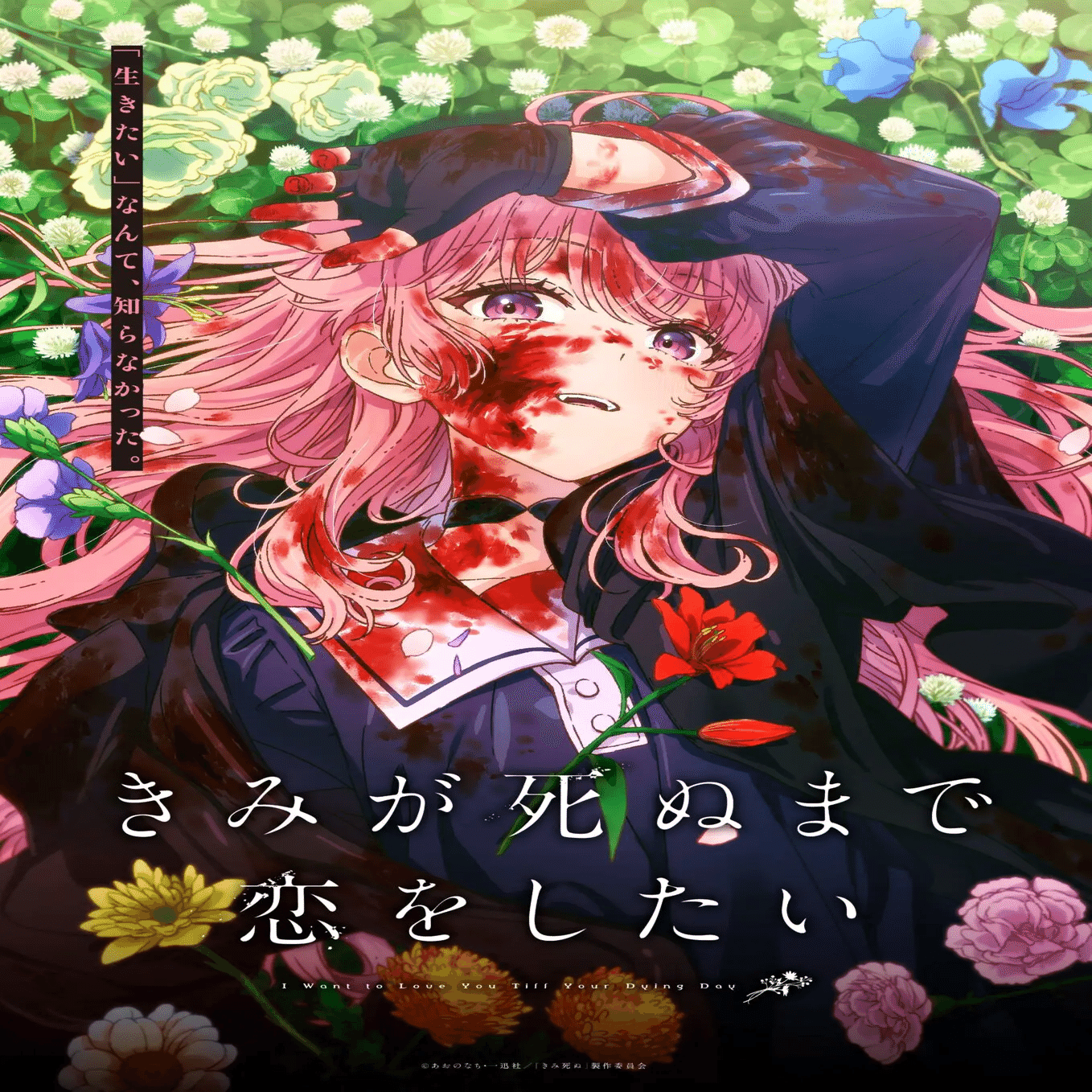 PINKY!（2026/2/3）｜はとむぎ