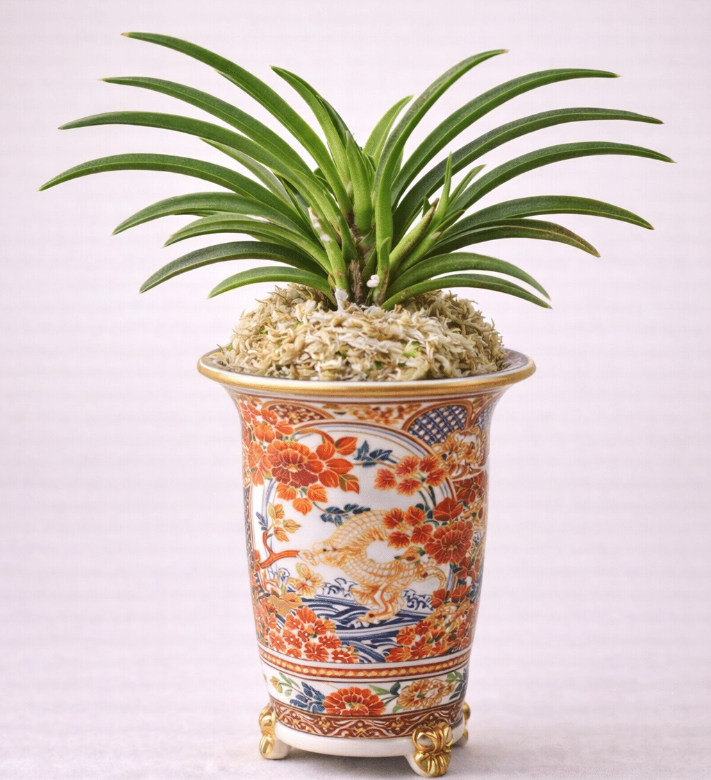 富貴蘭入門ガイド：夜に香る、日本の伝統美を楽しむ小さな蘭｜ぽどる