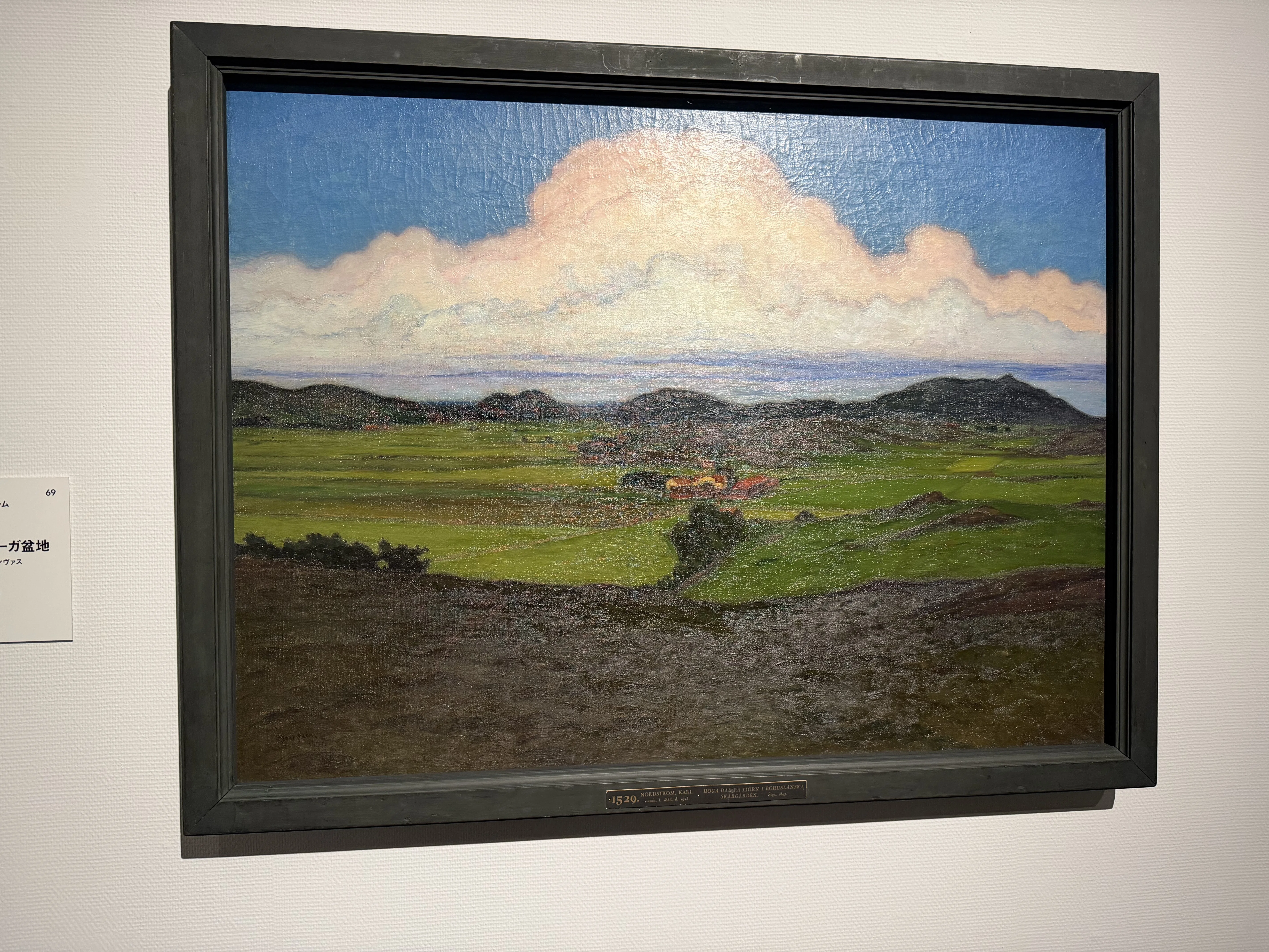 美術館記録『スウェーデン絵画 北欧の光、日常のかがやき』｜masdaq