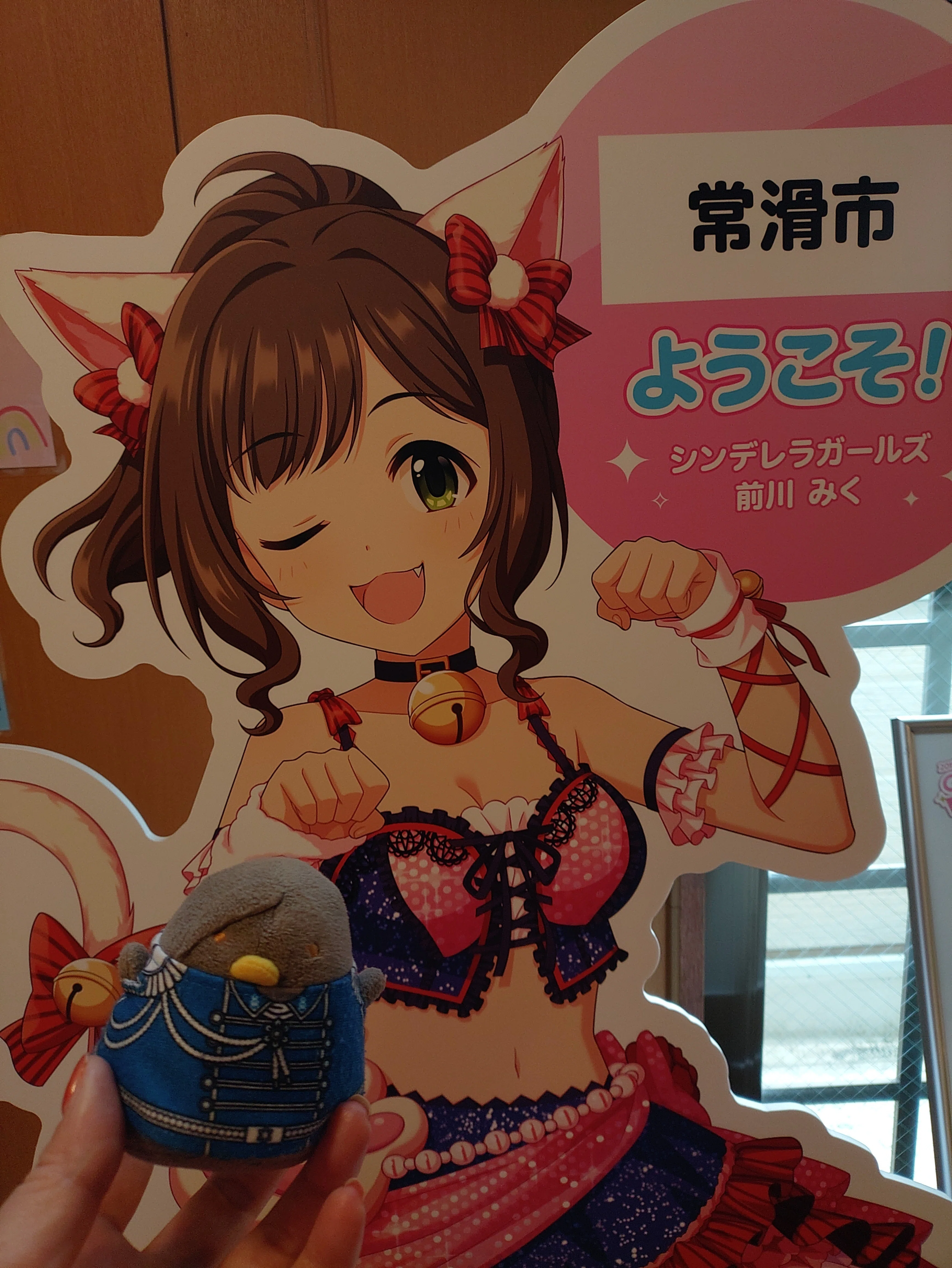担当が近くに来たのが嬉しすぎて、常滑のみくにゃんに会いに行ってきた 担当が近くに来たのが嬉しすぎて、常滑のみくにゃんに会いに行ってきた